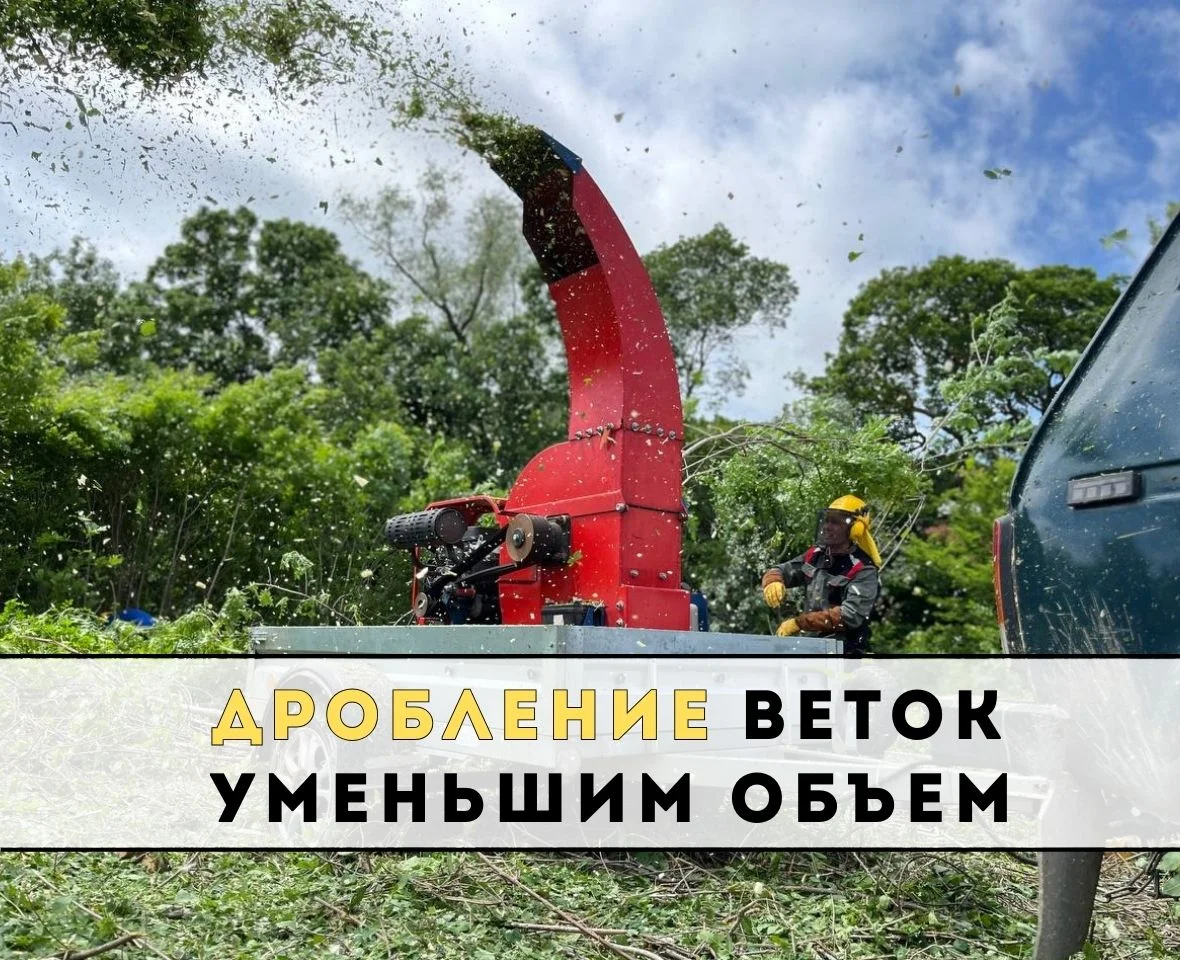 Расчистка участка спил деревьев измельчитель веток - миниатюра 3