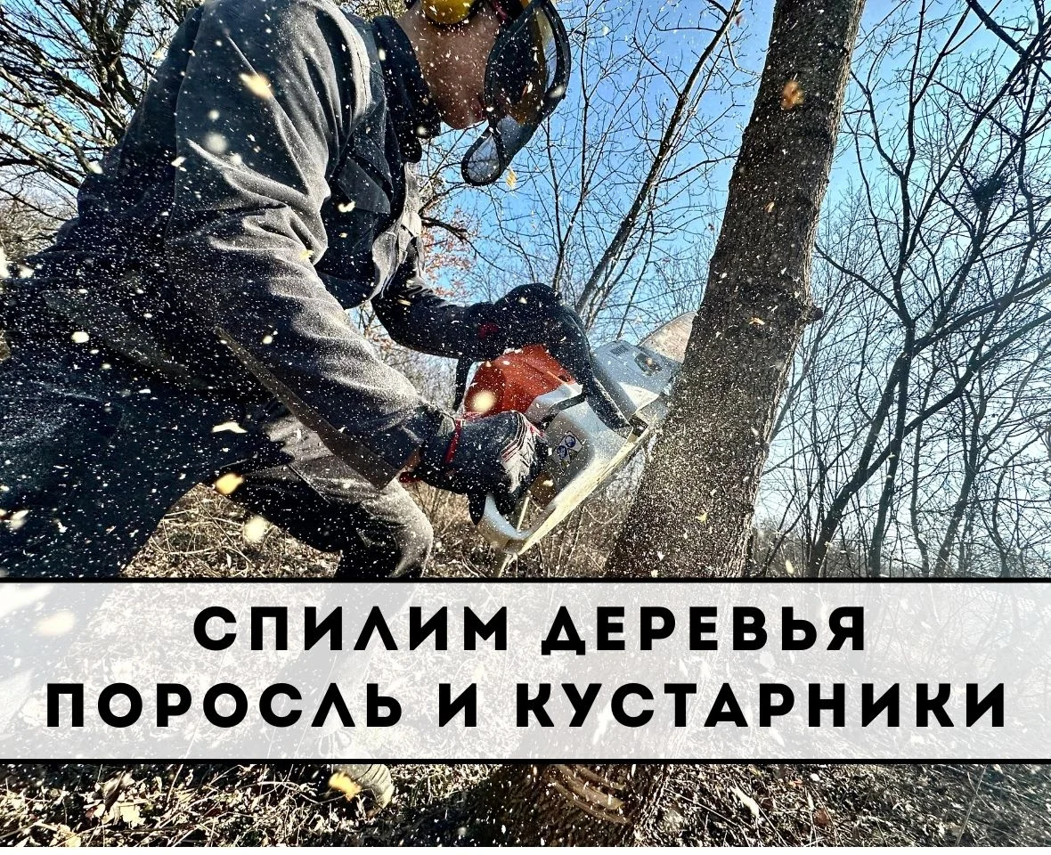 Расчистка участка спил деревьев измельчитель веток - миниатюра 4