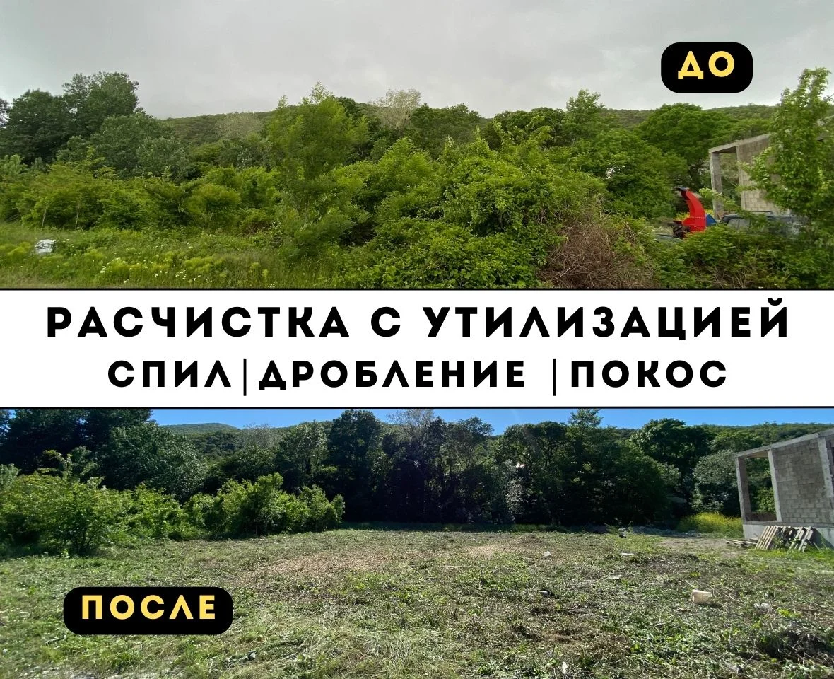 Расчистка участка спил деревьев измельчитель веток - миниатюра 6