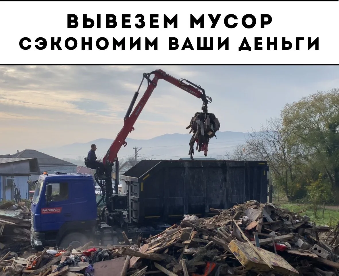 Расчистка участка спил деревьев измельчитель веток - миниатюра 8
