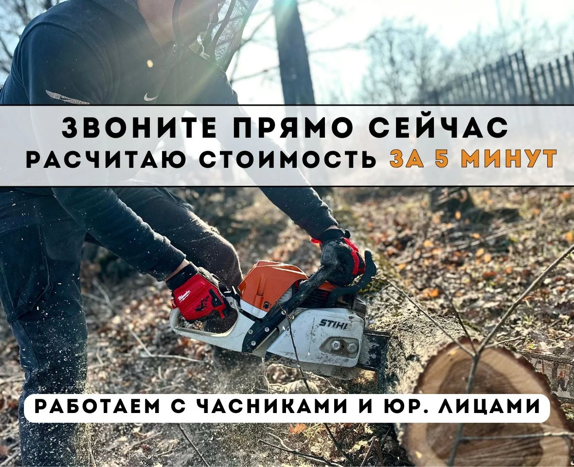 Расчистка участка спил деревьев измельчитель веток - миниатюра 9