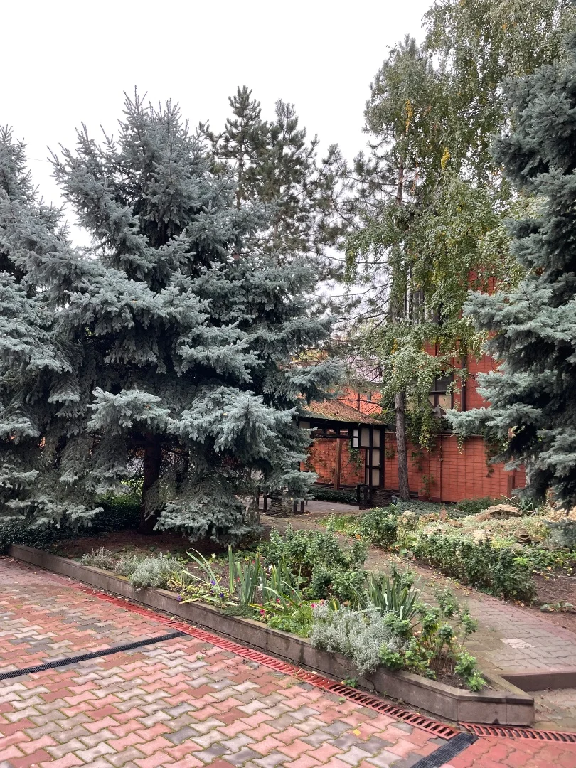 Особняк в центре северного на реке - миниатюра 6