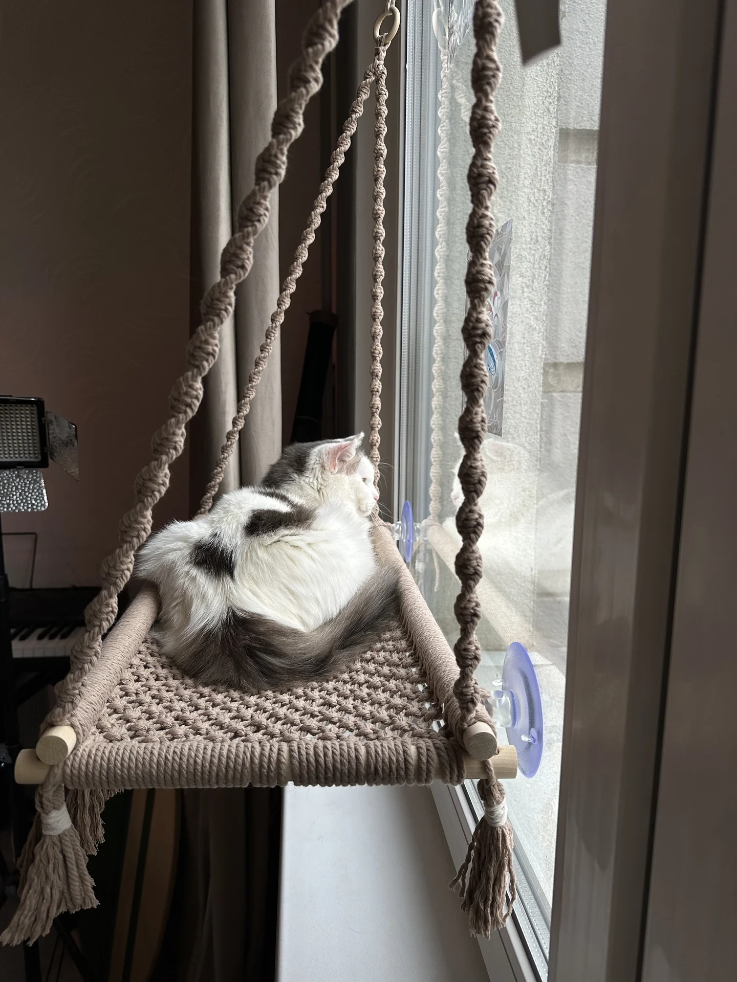 Гамак для кошек макраме - миниатюра 3
