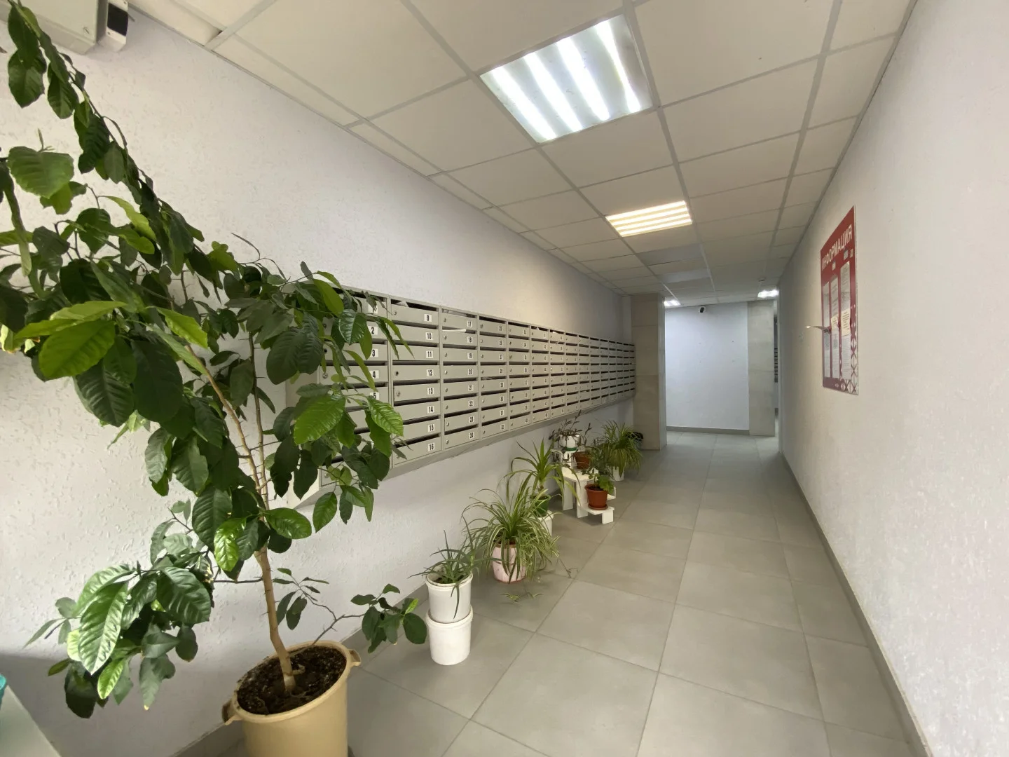 Анапа,квартира у моря.Тел:89184725760. - миниатюра 12