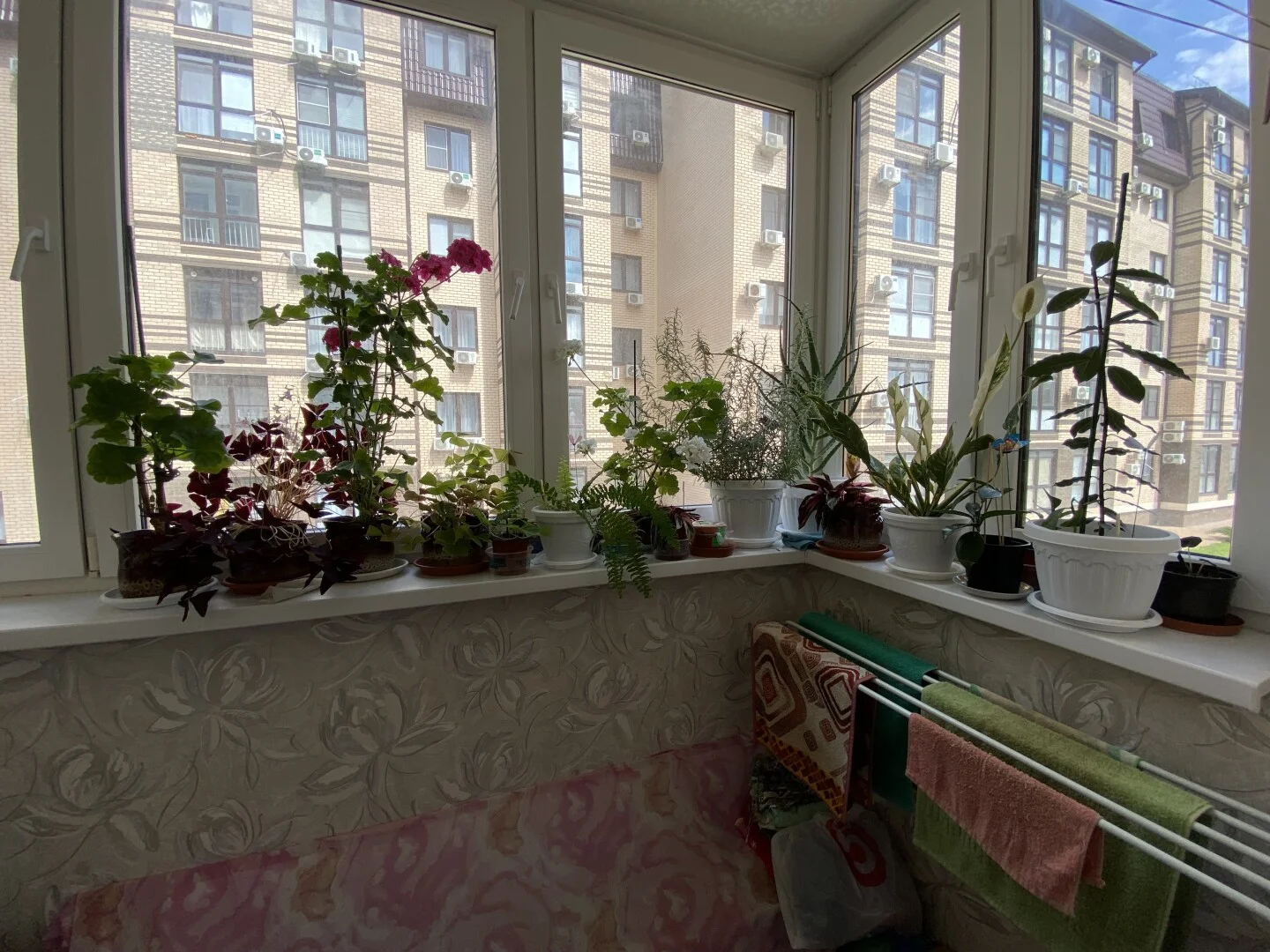 Анапа,квартира у моря.Тел:89184725760. - миниатюра 8