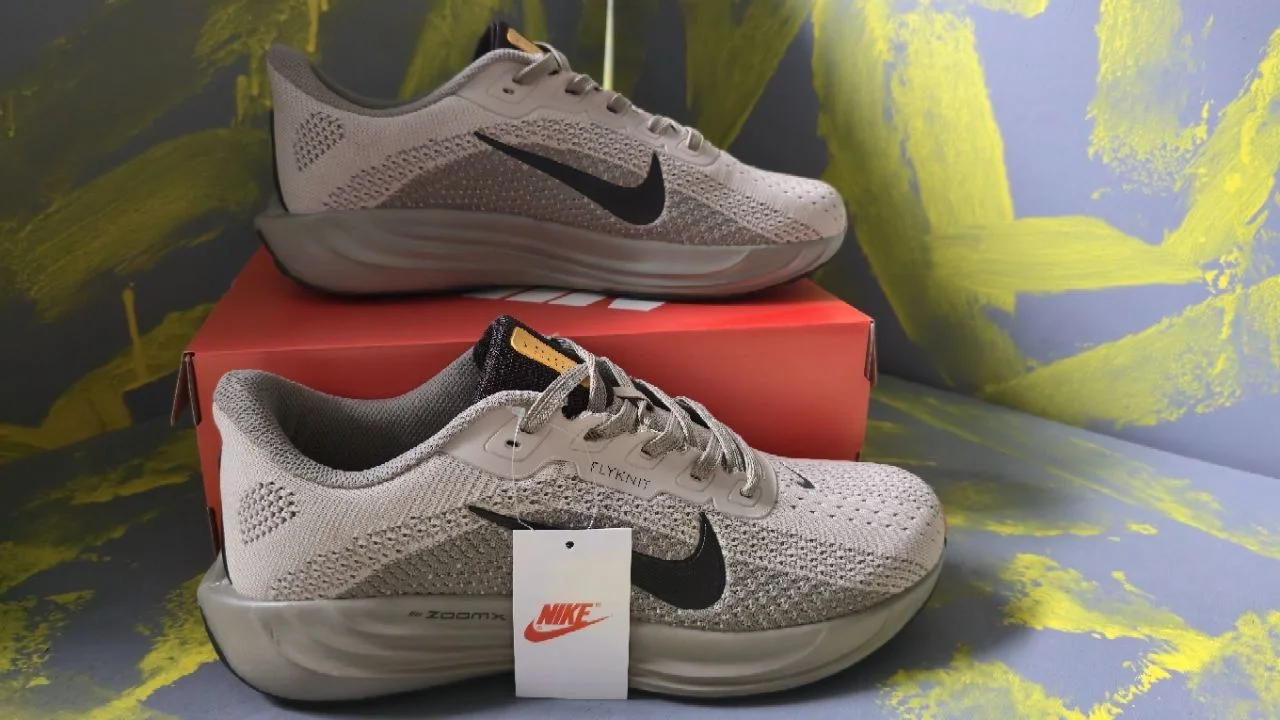 Nike Pegasus plus - изображение 1