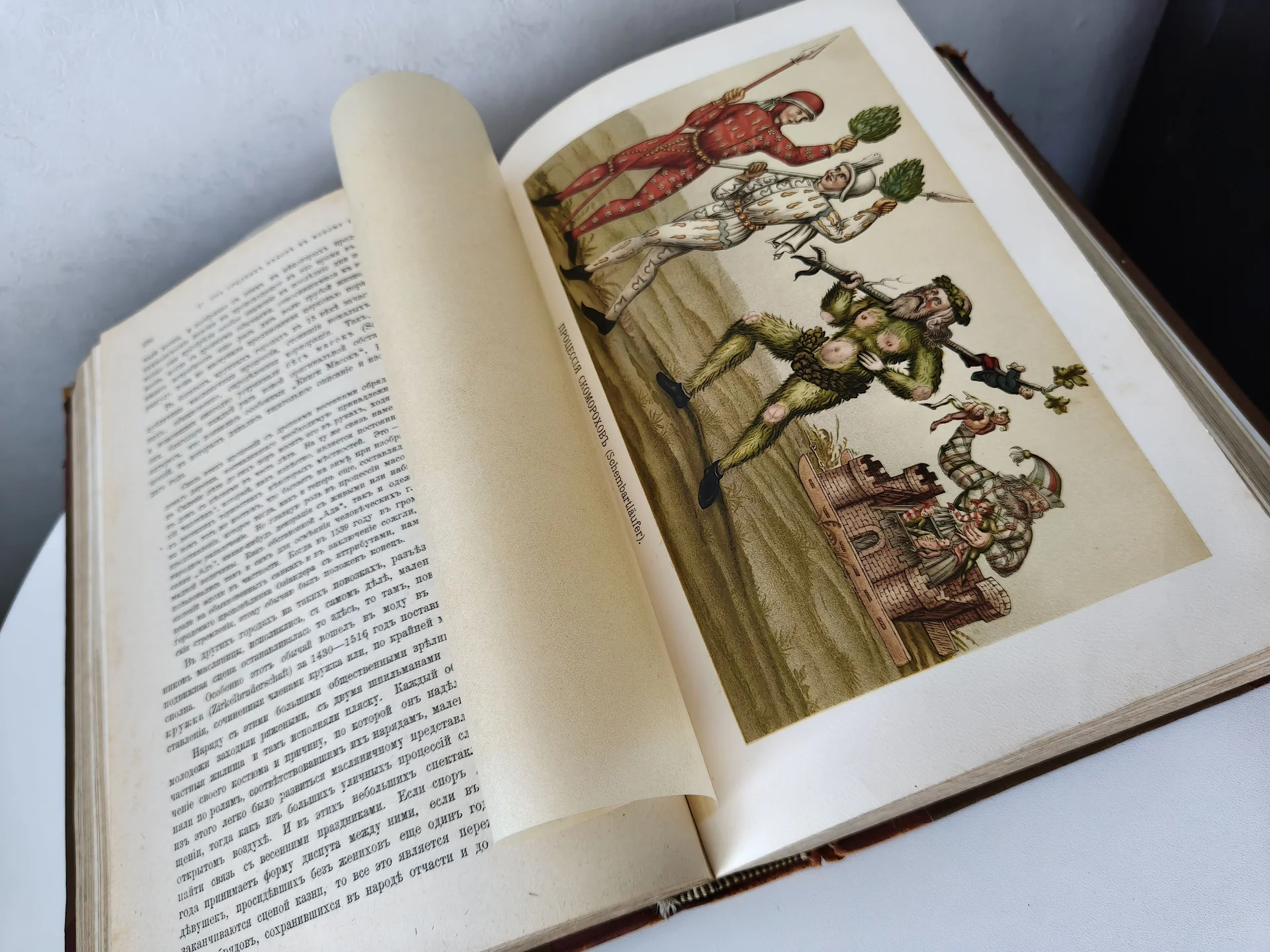 История немецкой литературы.1901г.Фогть и Кохь. - миниатюра 3