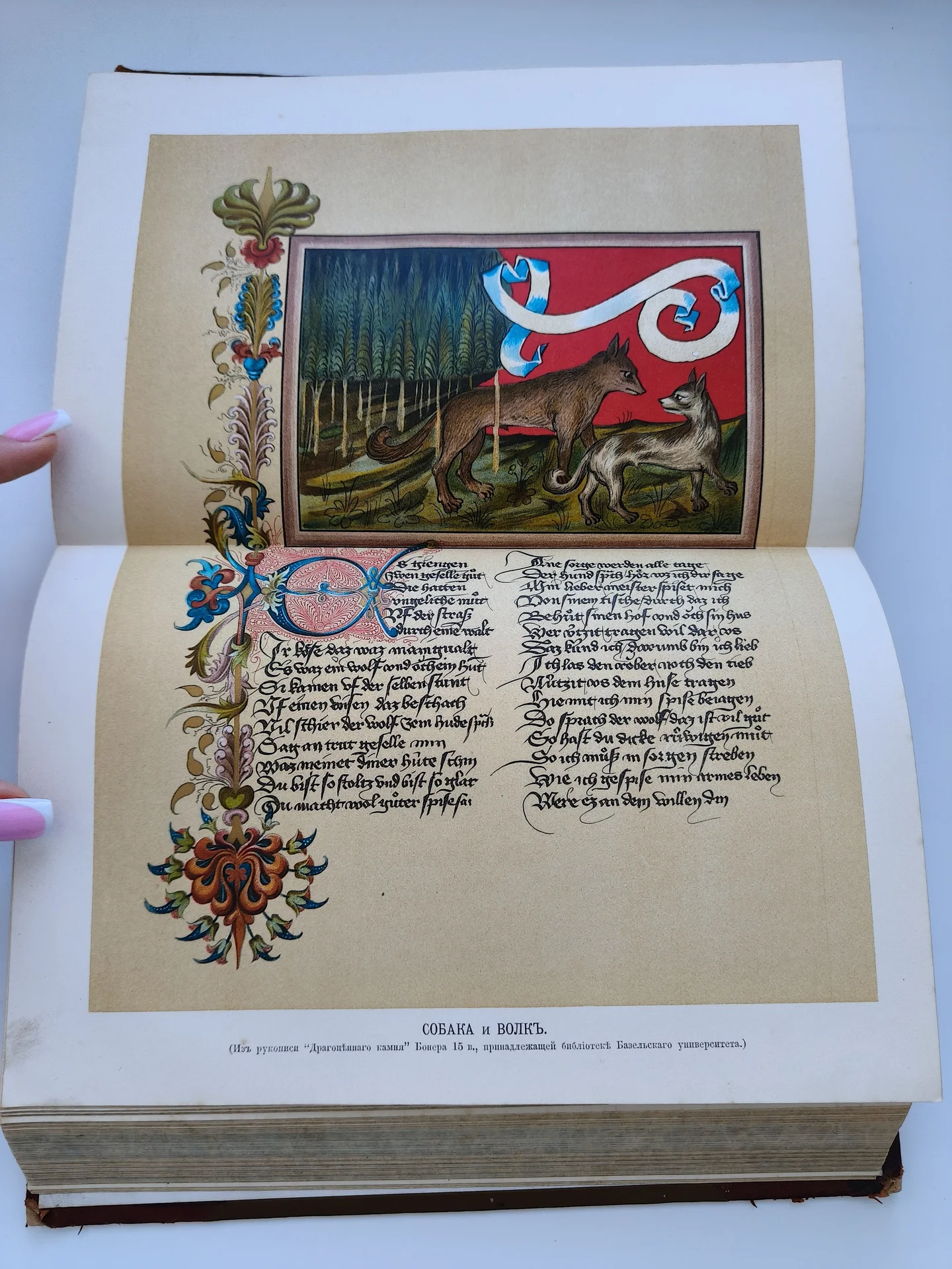 История немецкой литературы.1901г.Фогть и Кохь. - миниатюра 9