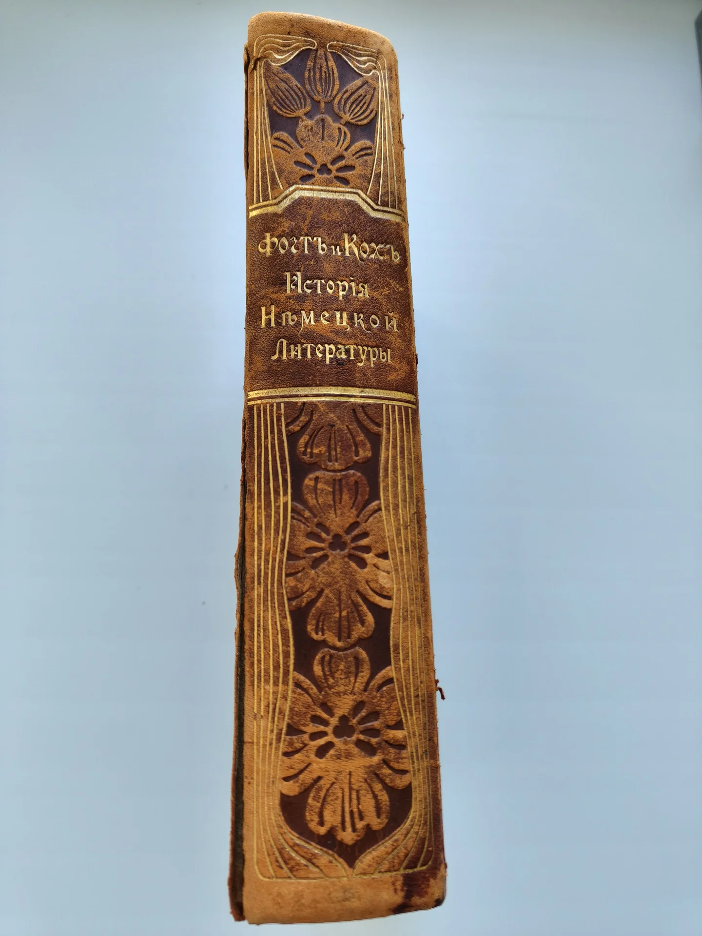 История немецкой литературы.1901г.Фогть и Кохь. - миниатюра 15