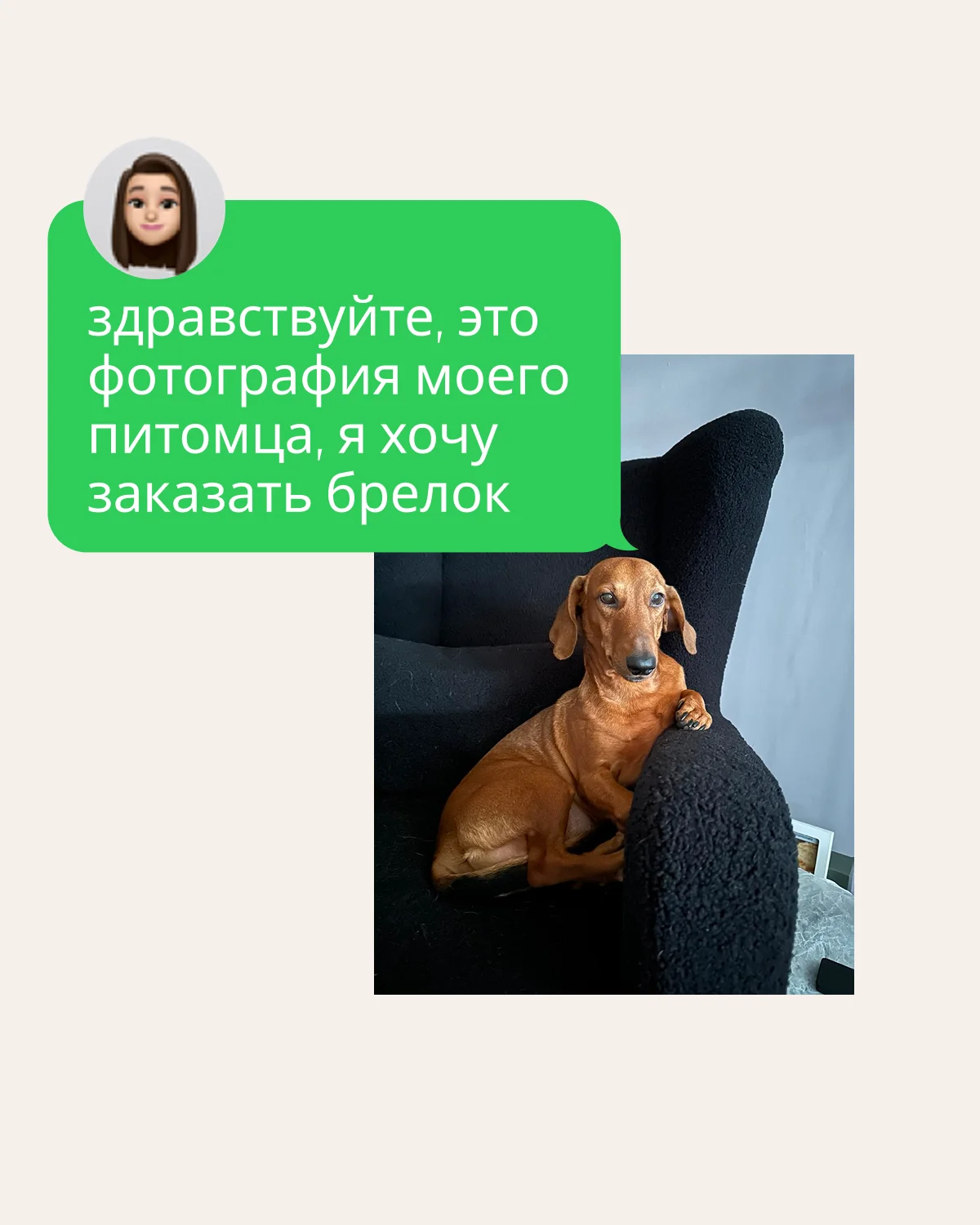 Обвес с питомцем по фото - миниатюра 2