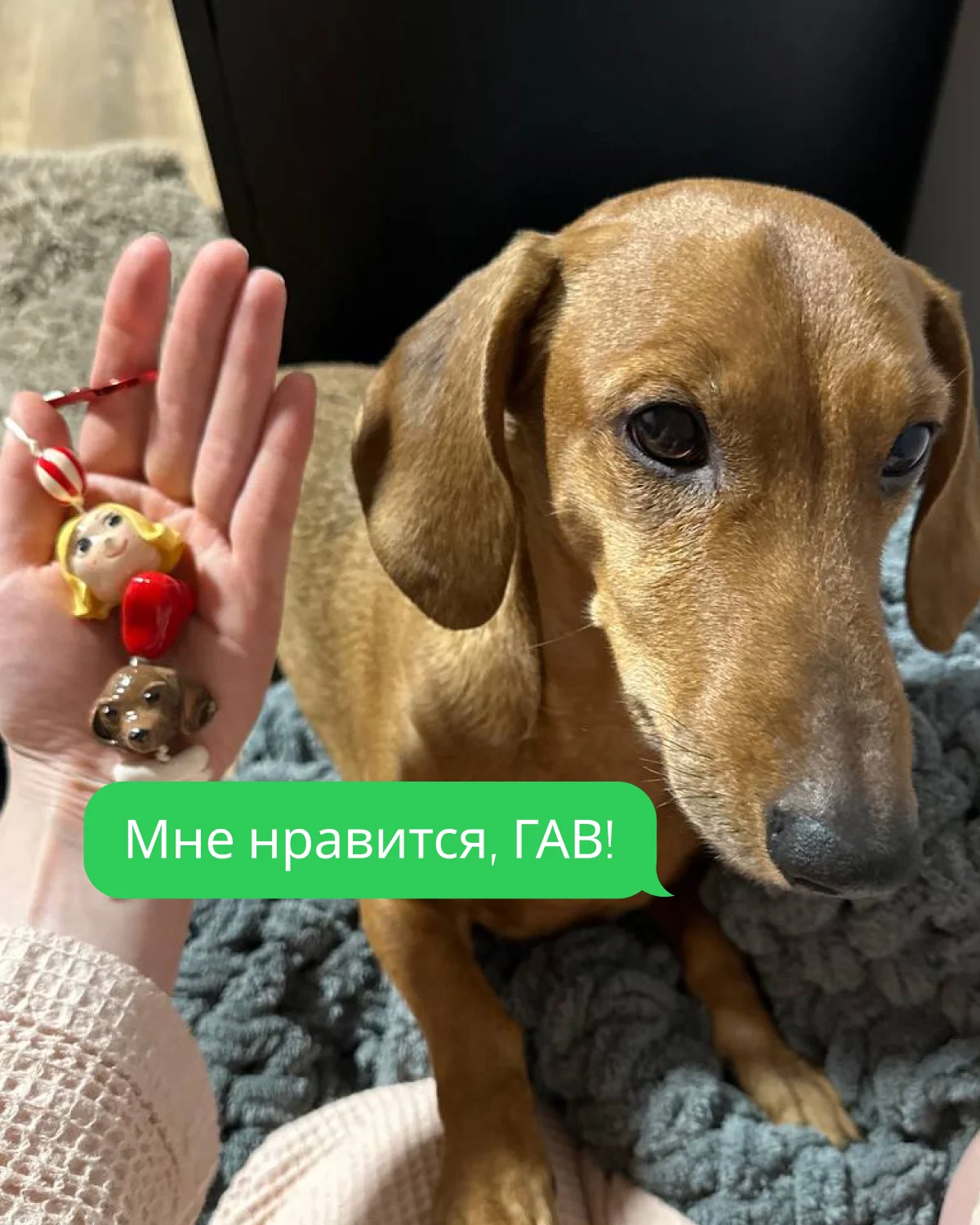 Обвес с питомцем по фото - миниатюра 4