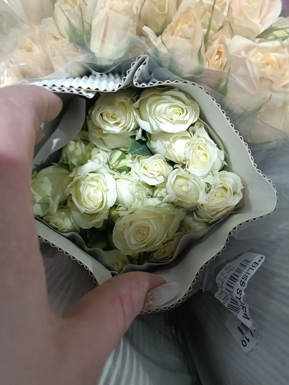 Кустовая Роза - миниатюра 4