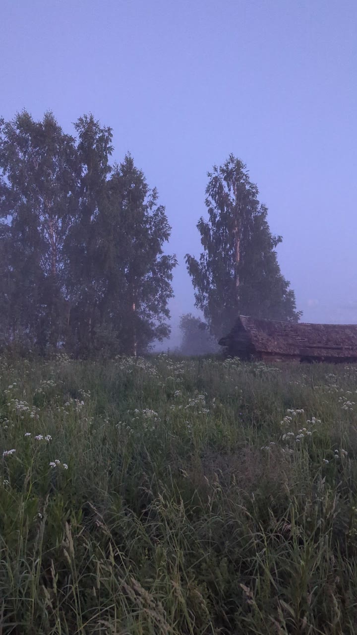 Мёд разнотравье - видео 3