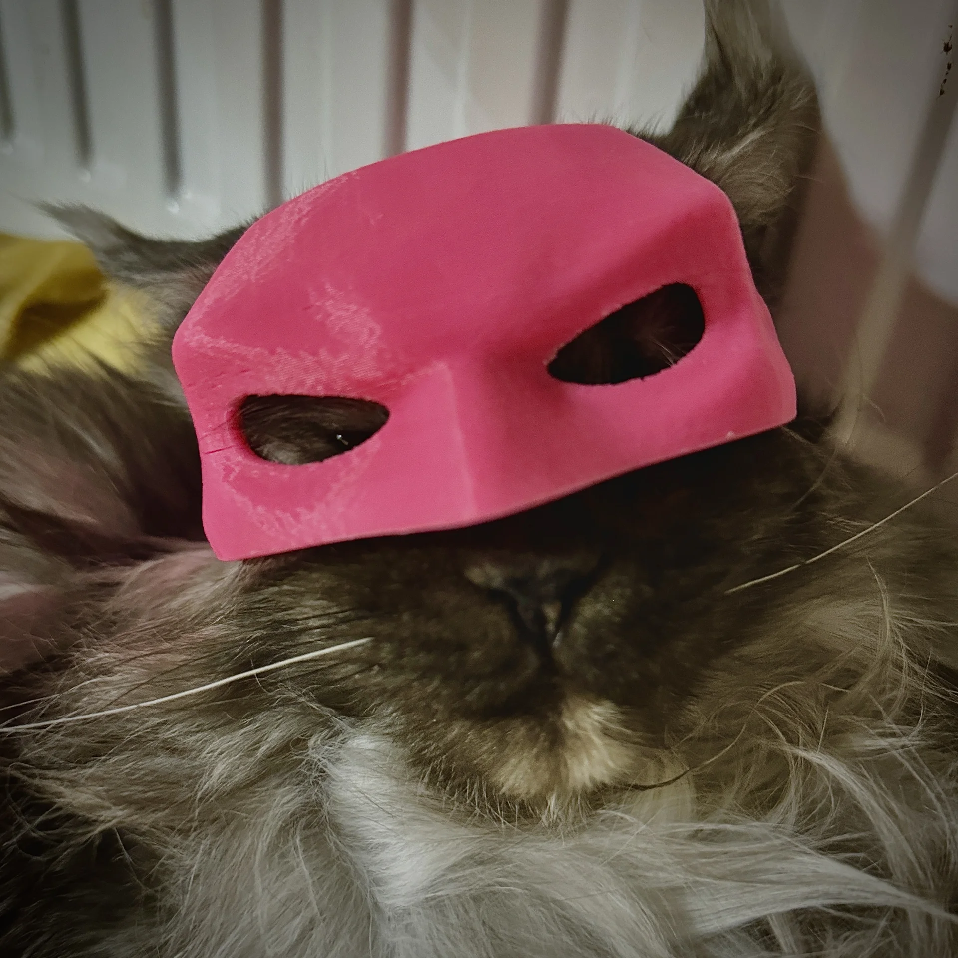 Маска бэтмена для кота - миниатюра 6