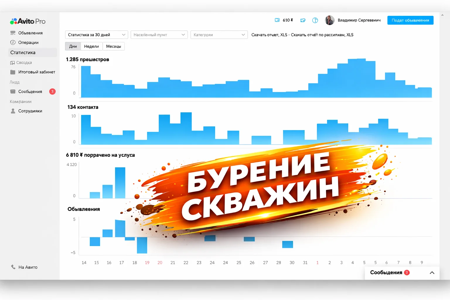 Авитолог - миниатюра 9