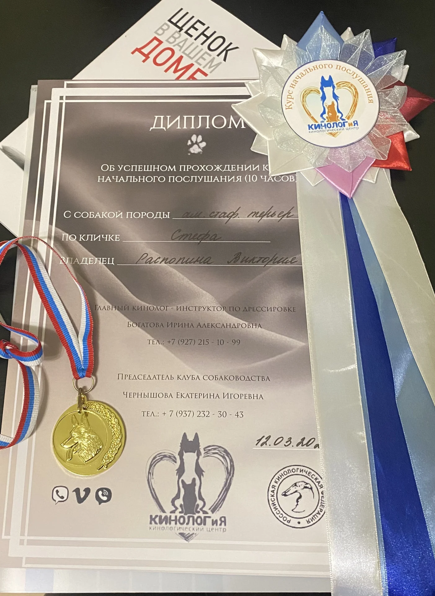 Щенок Американский стаффордширский терьер - миниатюра 7
