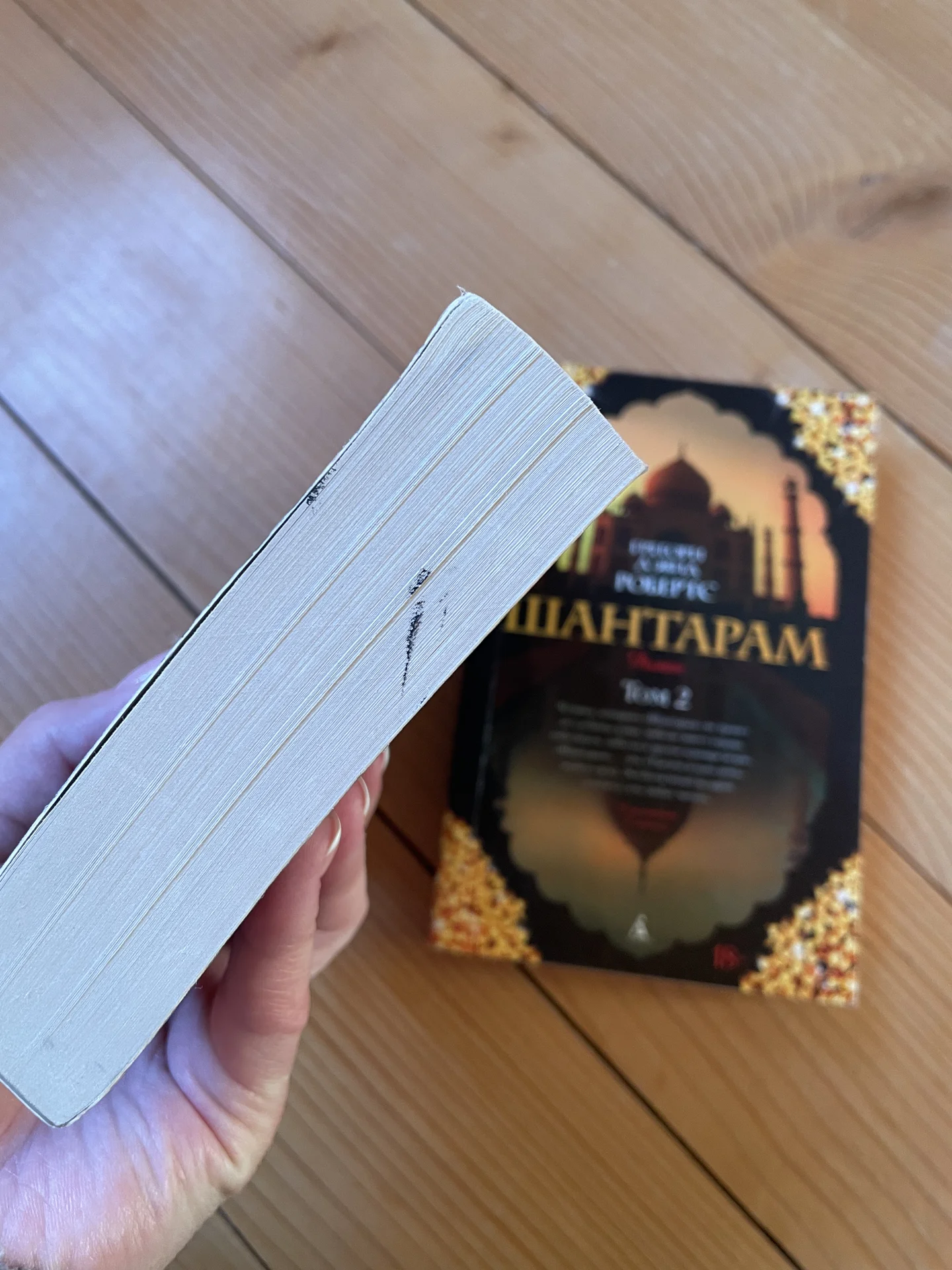 Книга Шантарам 2 части - миниатюра 2