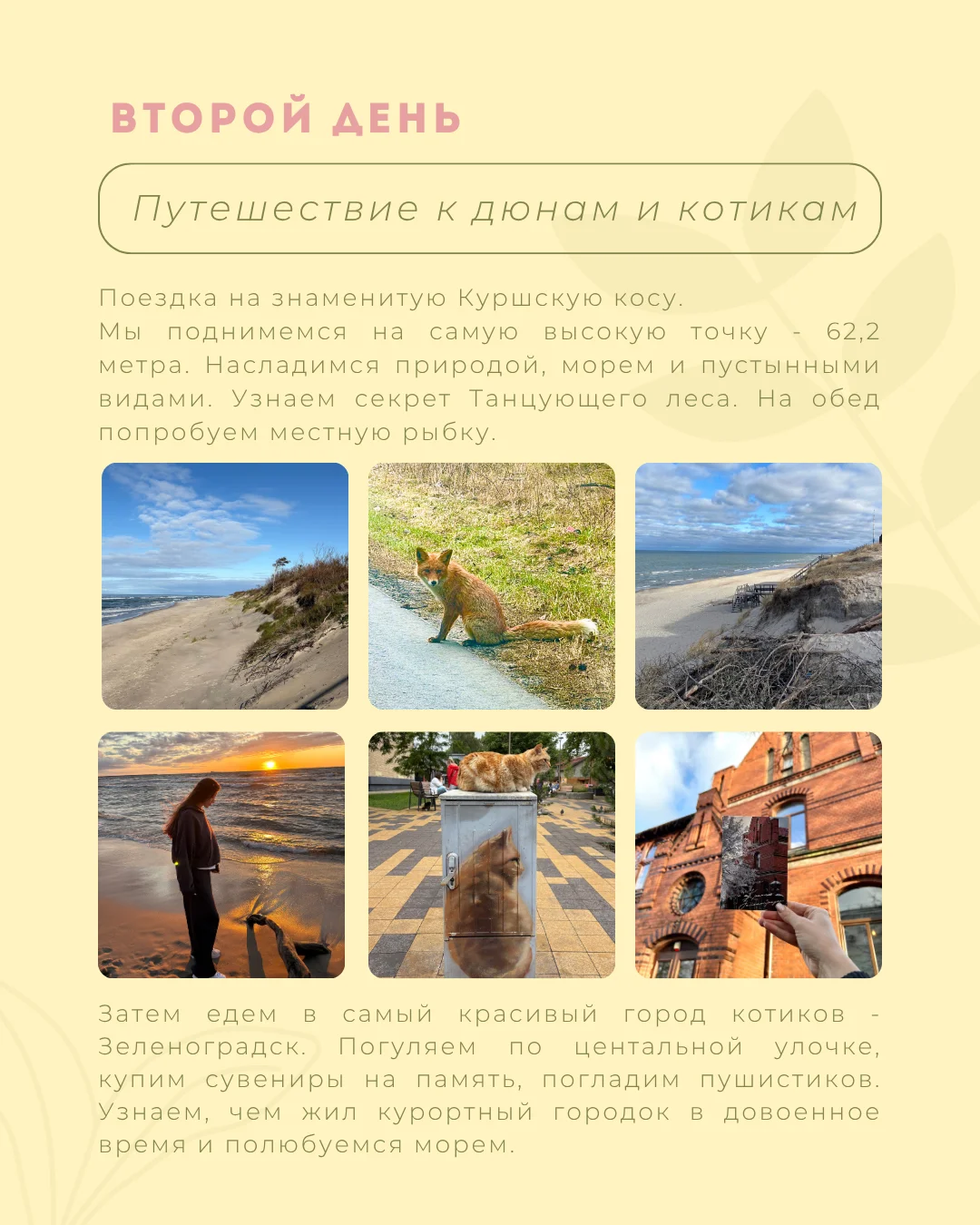 Тур 3 дня в Калининграде - миниатюра 5
