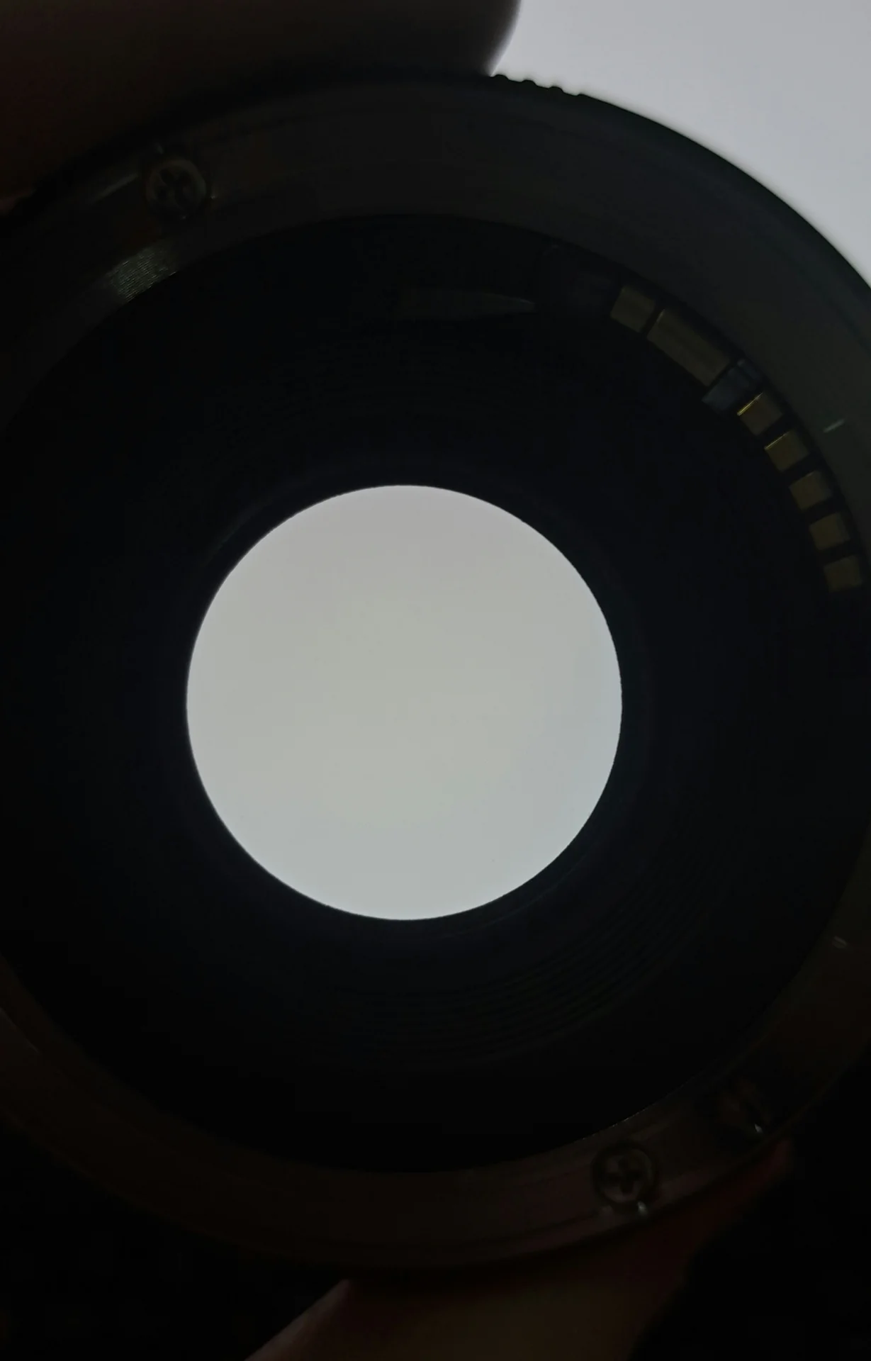 Объектив Canon EF 50mm 1.8 STM - миниатюра 2