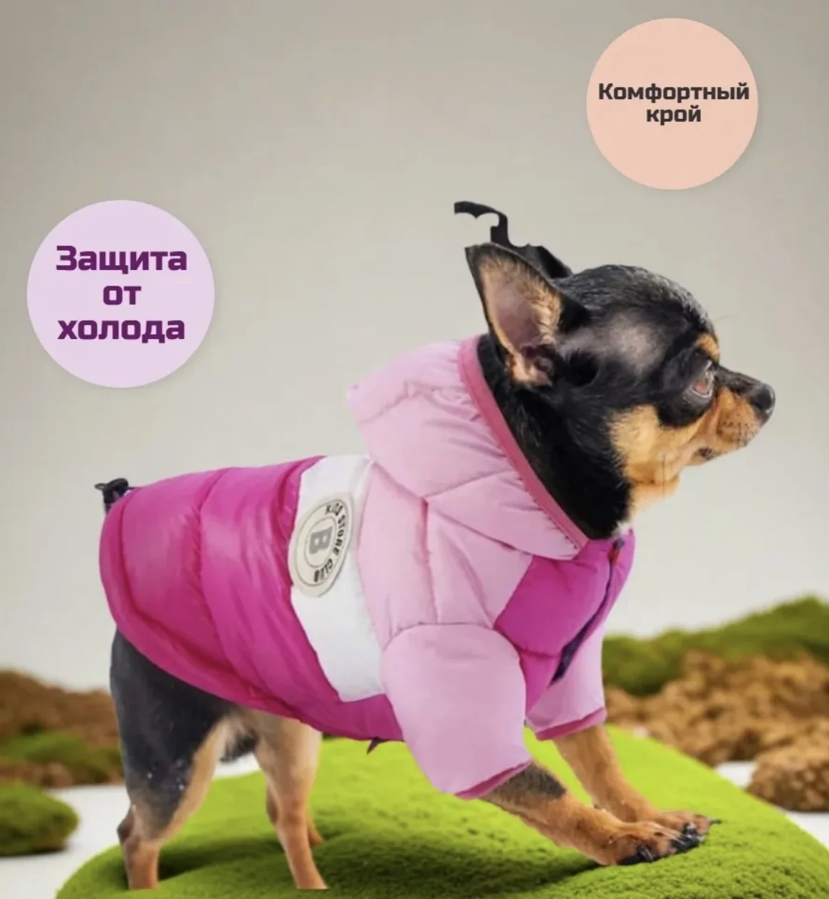 Куртка для собаки, р. XS-S - миниатюра 5