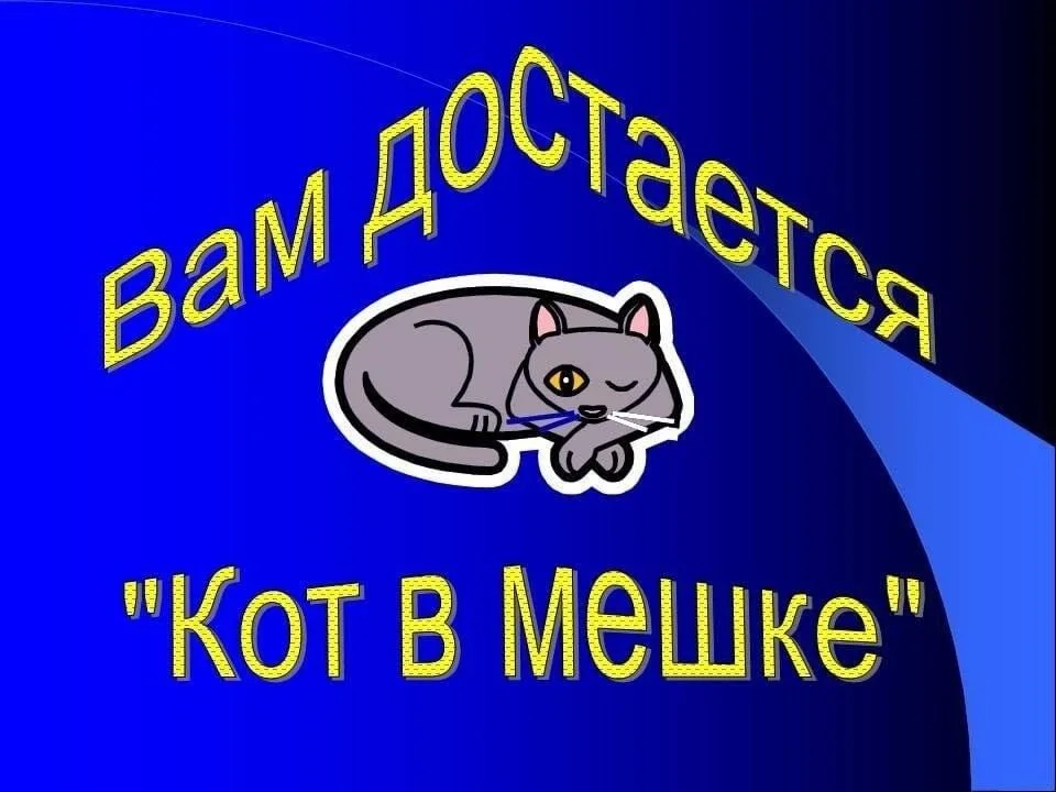 Пакет с обувью - изображение 1