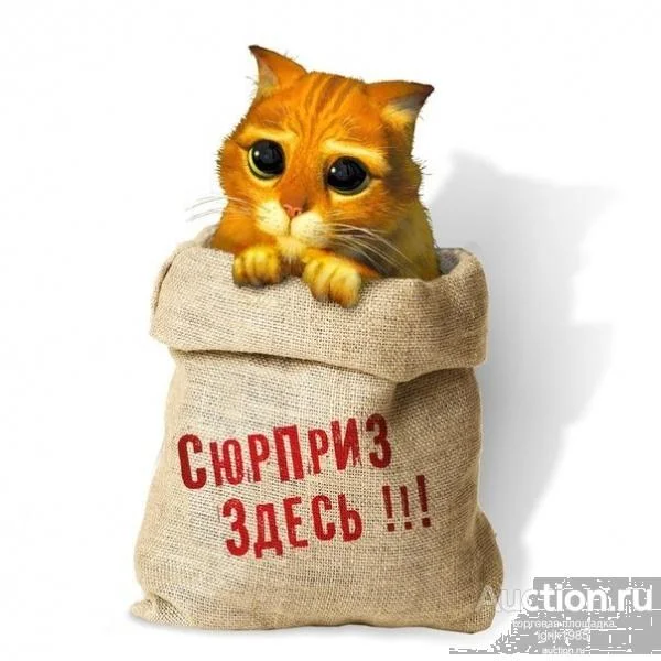 Мужские вещи - изображение 1