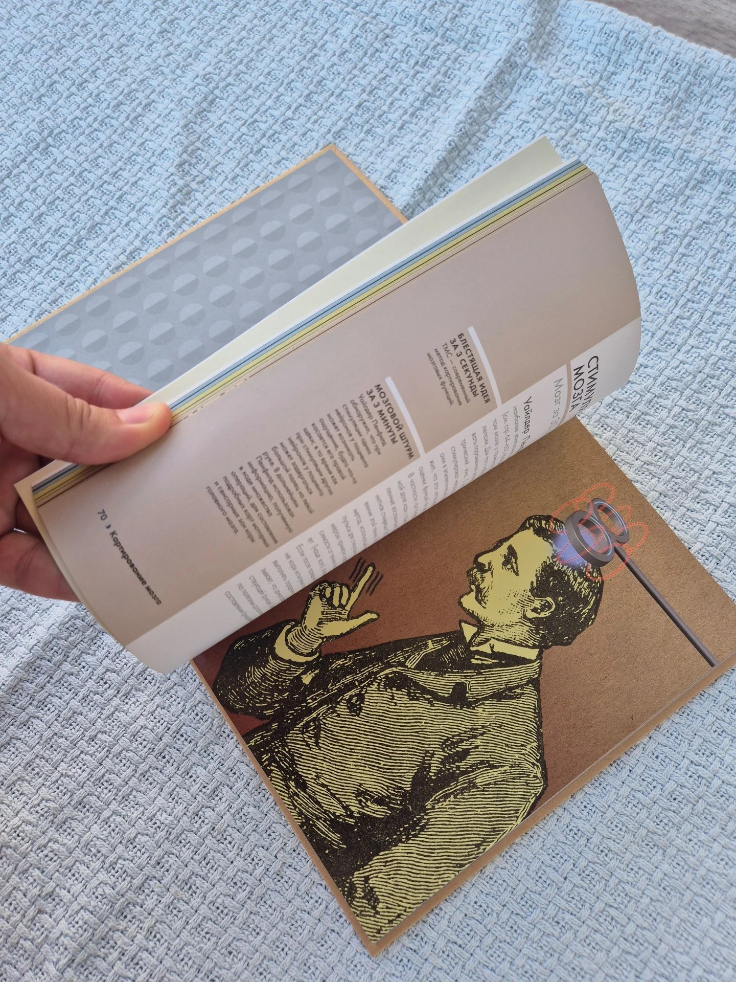 Книга Мозг за 30 секунд Анил Сет - миниатюра 4