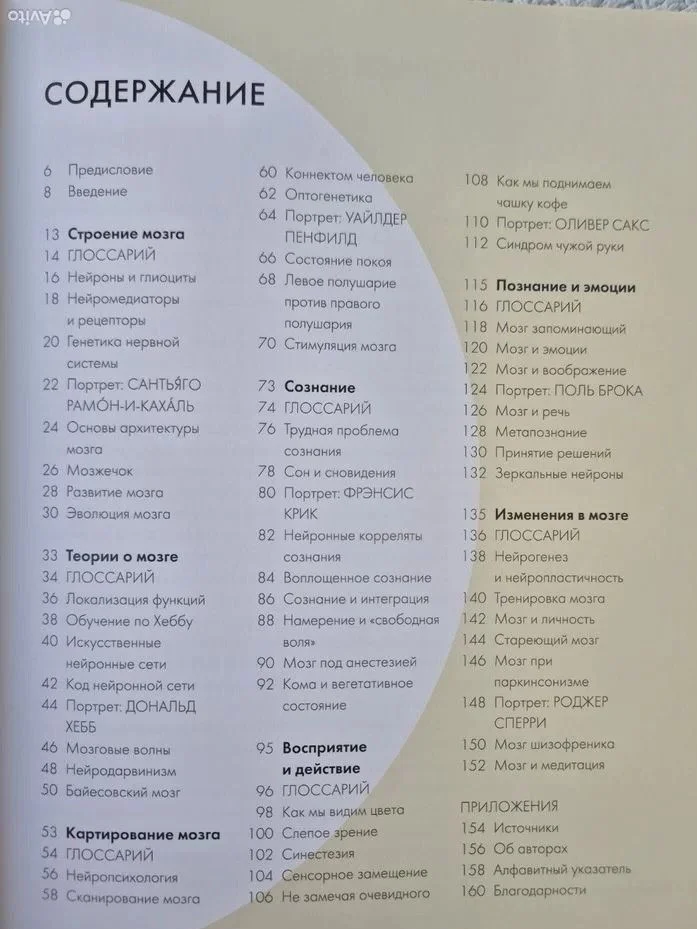 Книга Мозг за 30 секунд Анил Сет - миниатюра 6