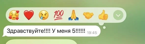 Репетитор по русскому языку - миниатюра 9