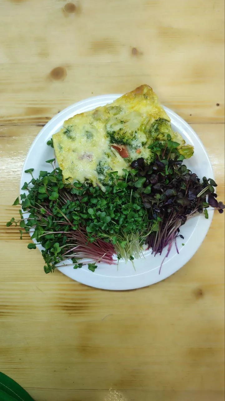 Микрозелень свежая. Натурально. Доставка по Курску - миниатюра 2