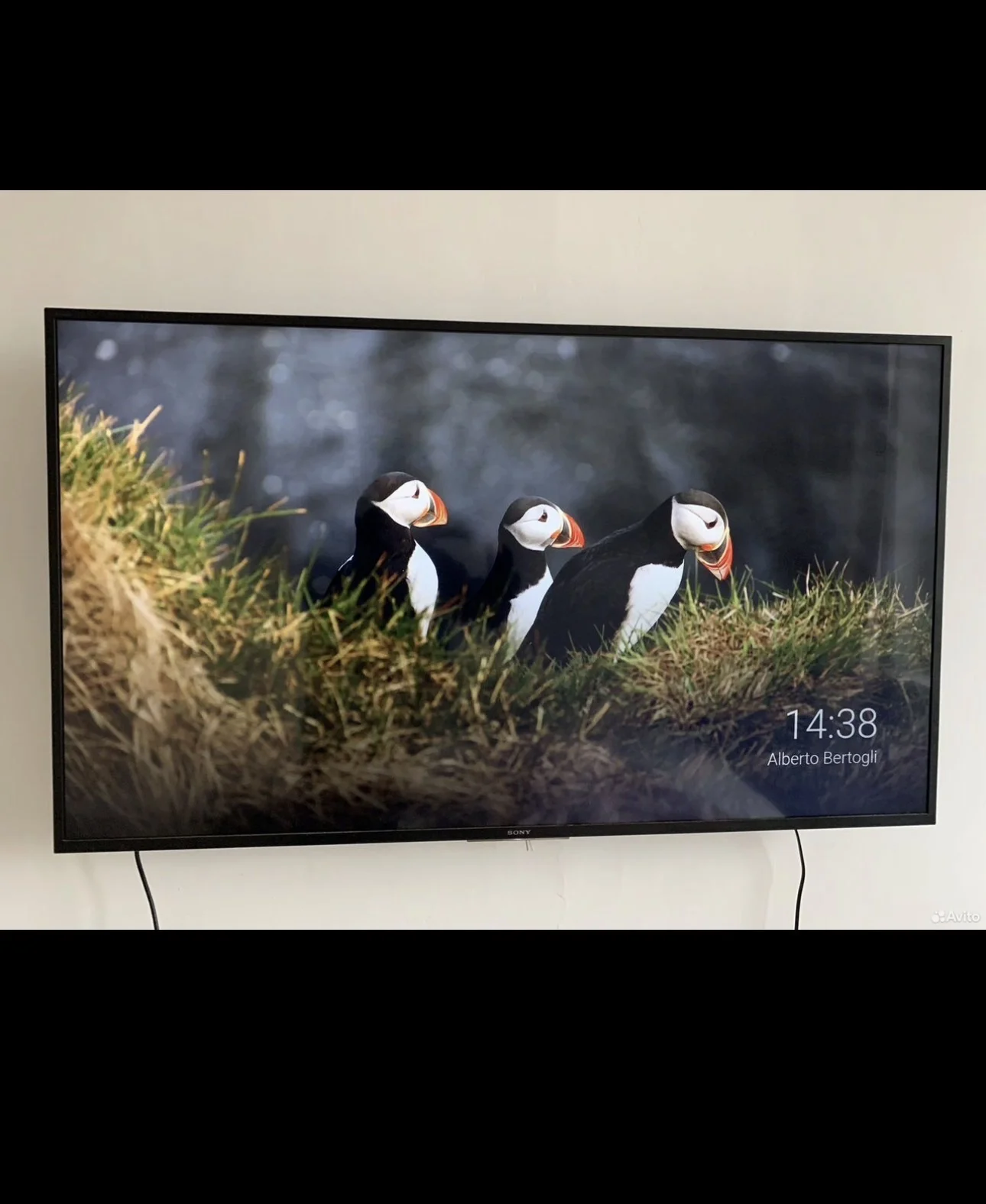 Телевизор Sony Bravia 55-4k (kd-55xg8096 ) - изображение 1