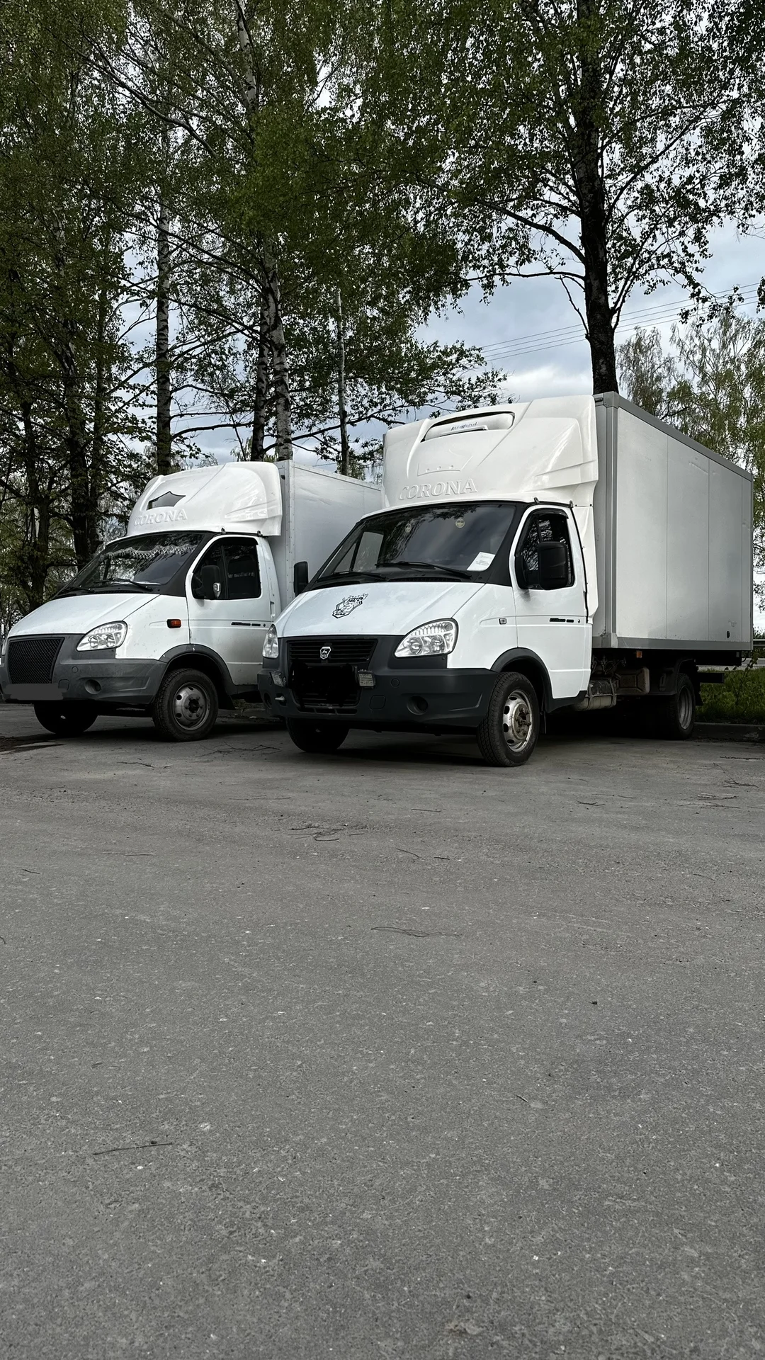 Вывоз мусора контейнером газелью самосвалом - миниатюра 13