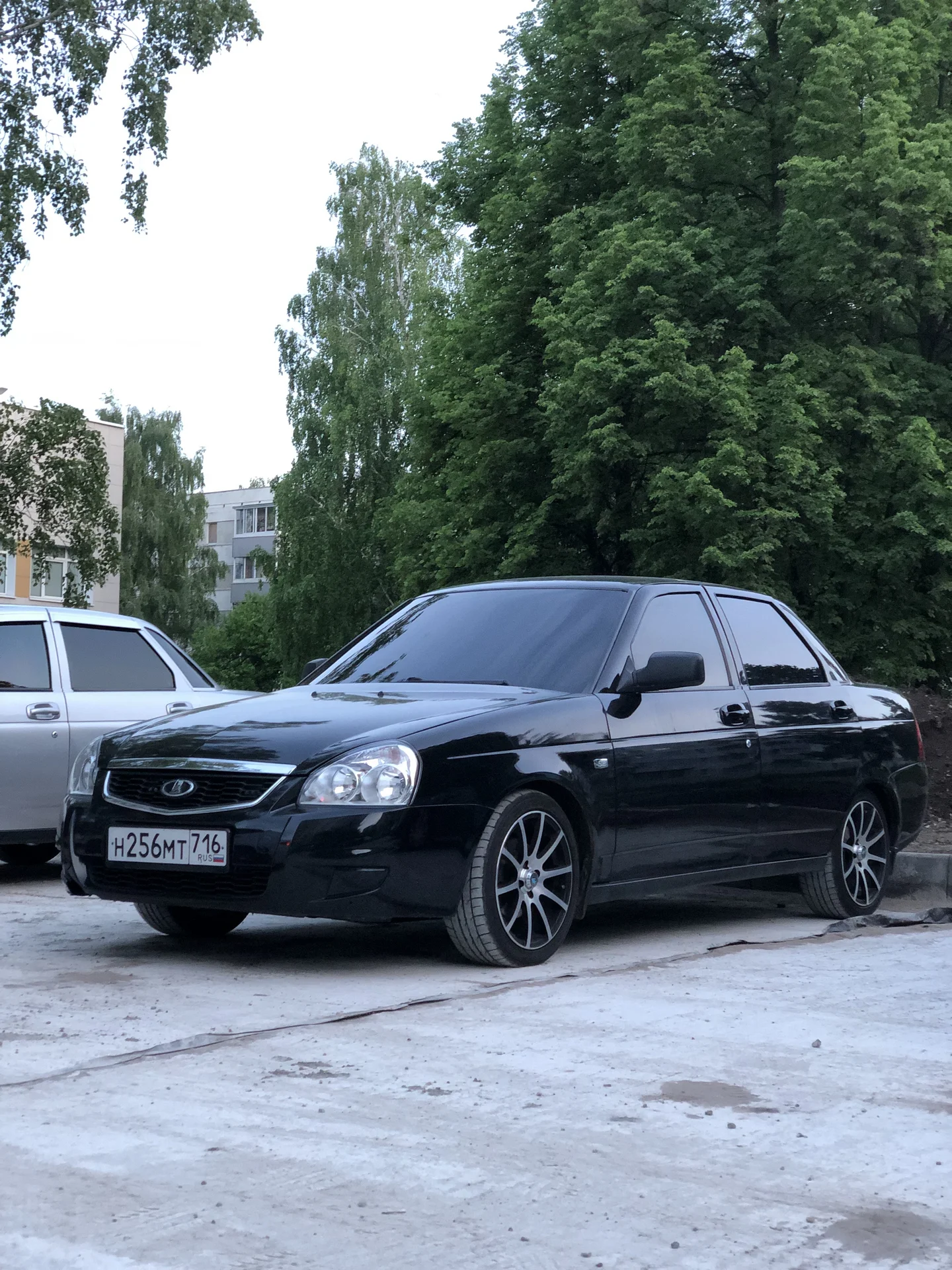 Съемная тонировка - миниатюра 7