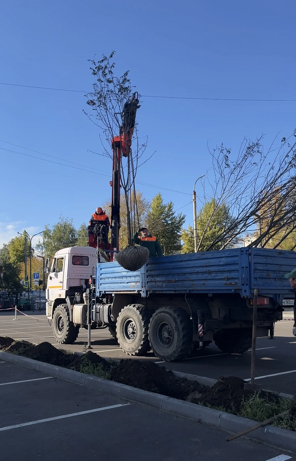 Уход за растениями - миниатюра 4