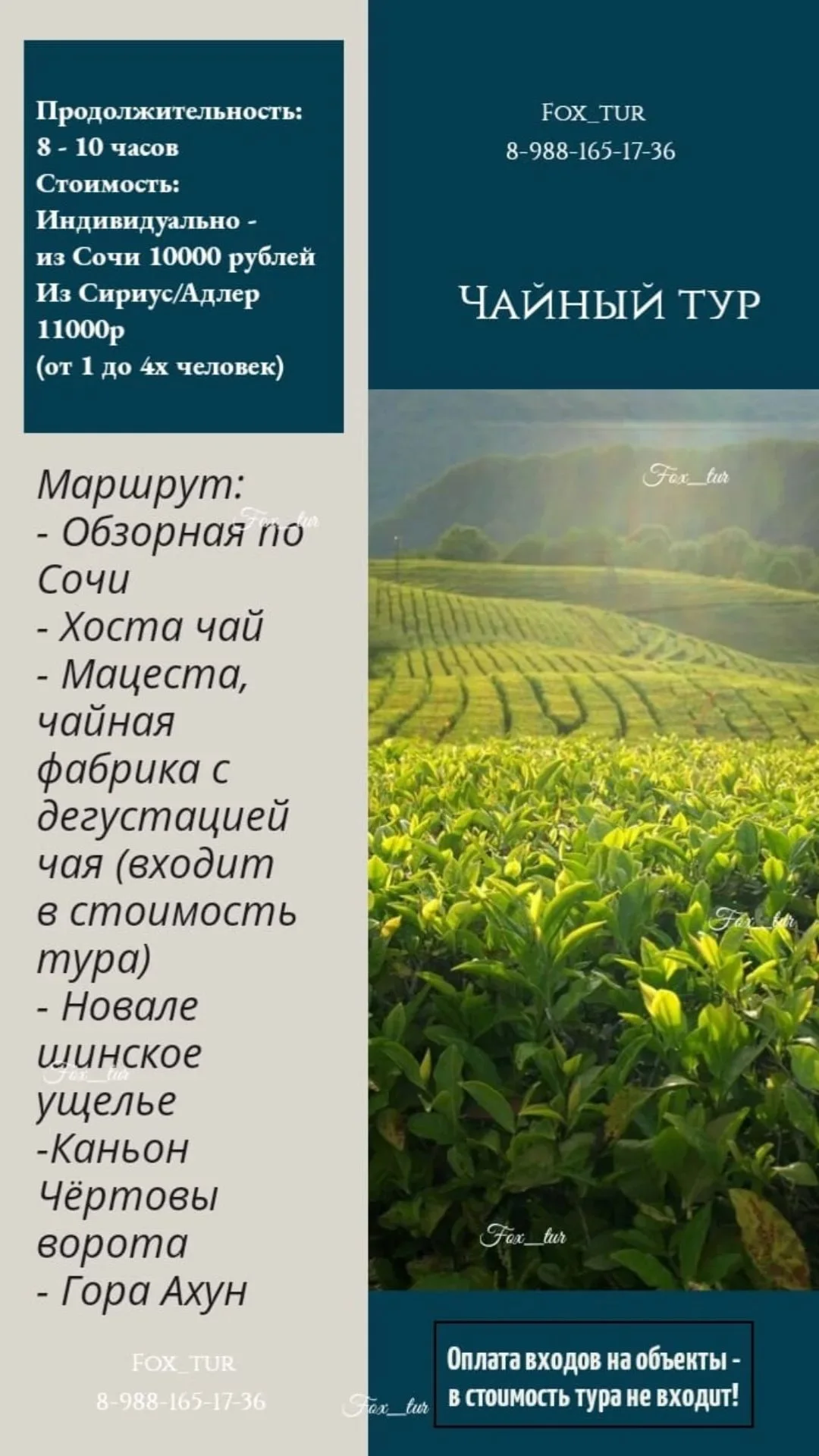 Гид / Экскурсии в Сочи и Абхазии - миниатюра 9