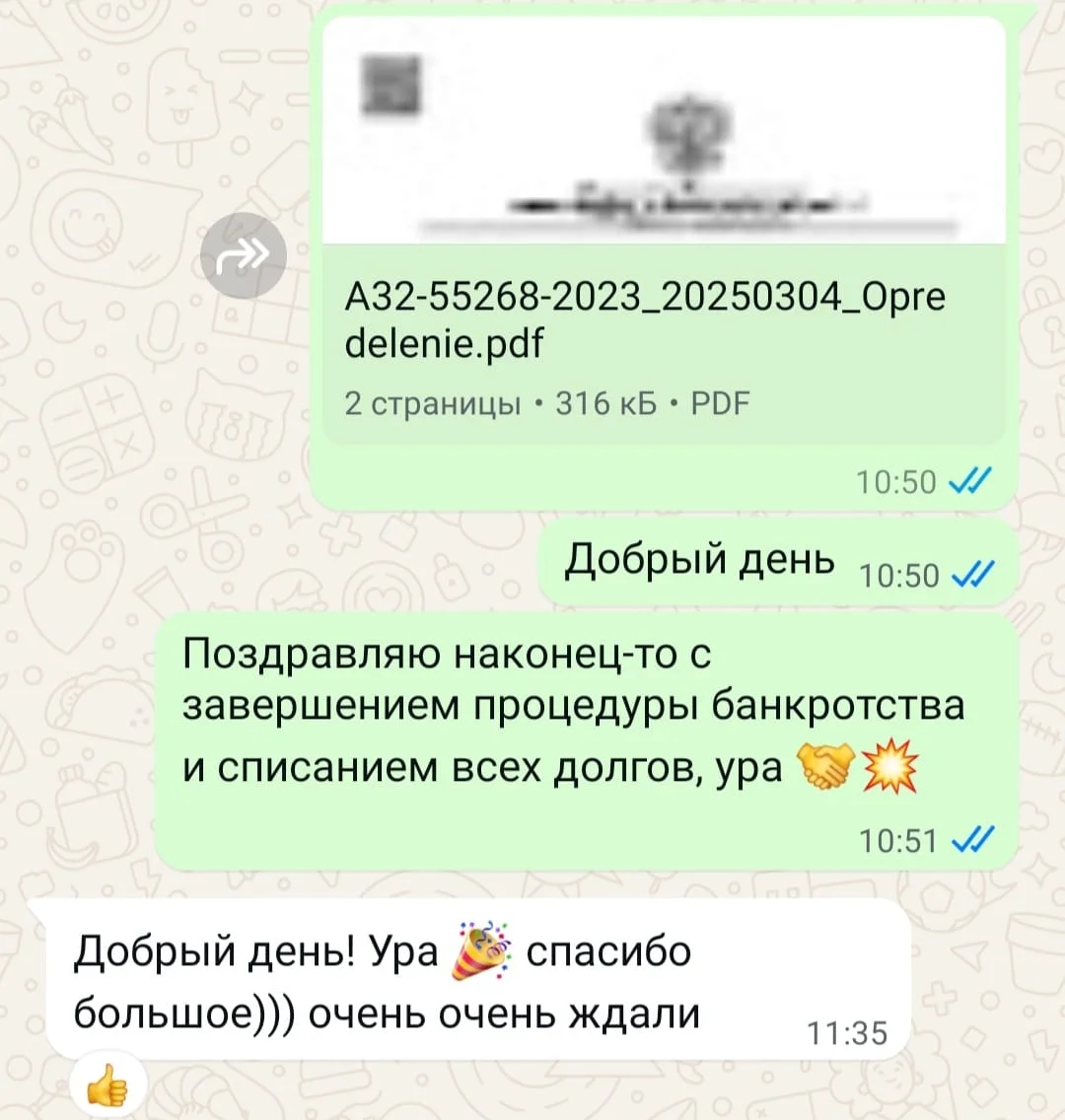 Освобождение от долгов Банкротство Внесудебное банкротство - миниатюра 9