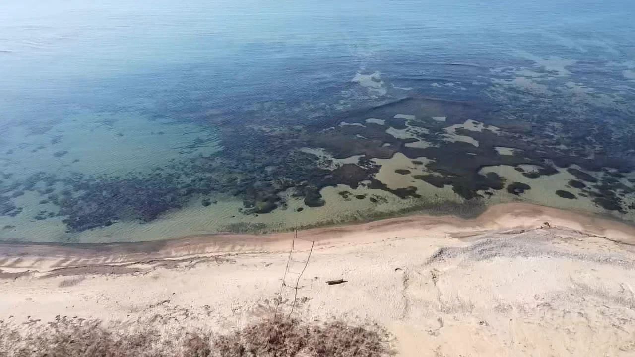 Дом и комфортабельные номера на берегу моря - миниатюра 7