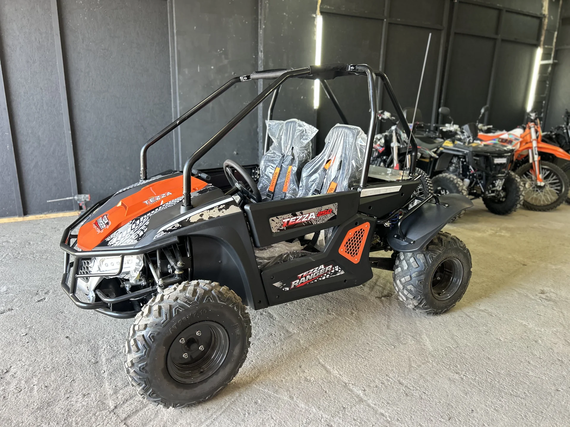 Багги TEZZA 250cc на кардане - миниатюра 5