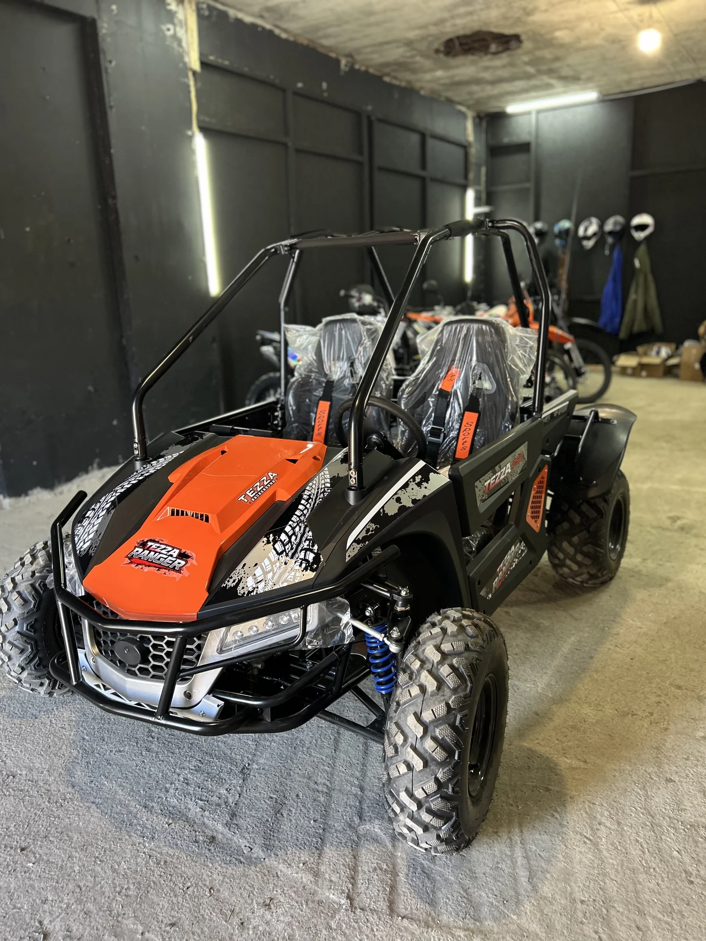 Багги TEZZA 250cc на кардане - миниатюра 9