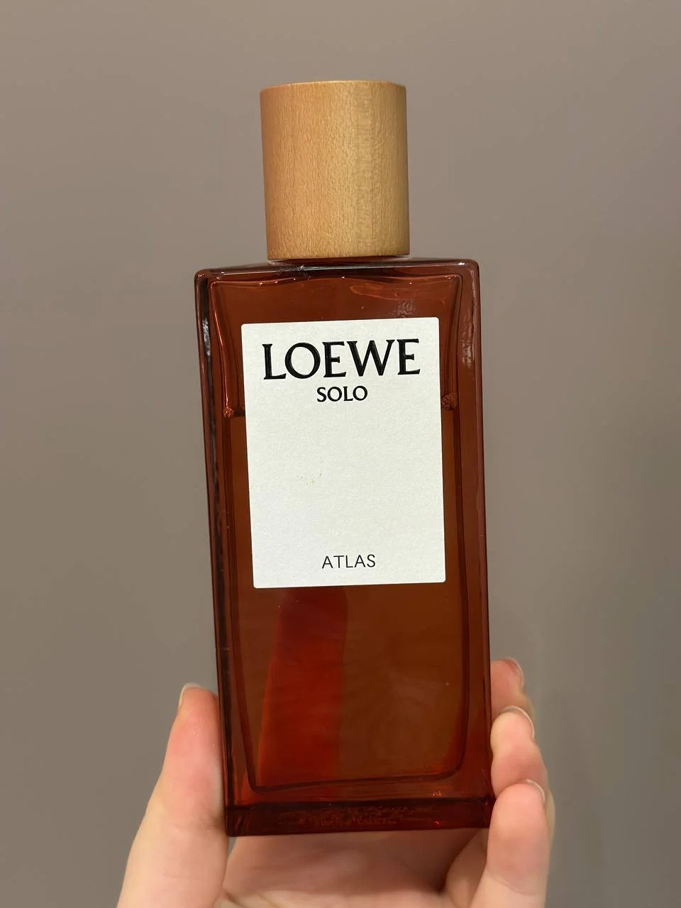 Loewe Solo Atlas - изображение 1