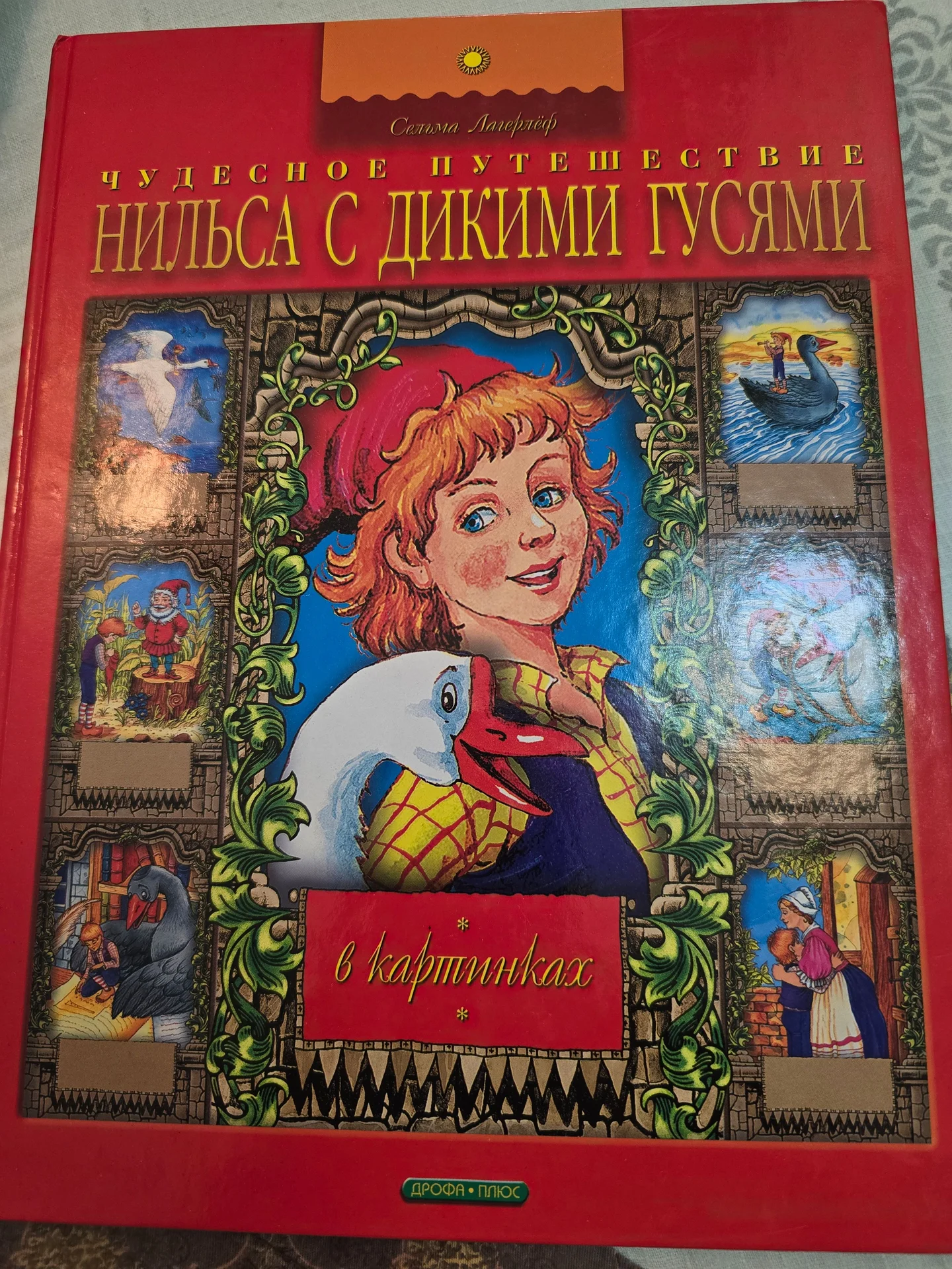 Чудесное путешествие Нильса с дикими гусями - изображение 1