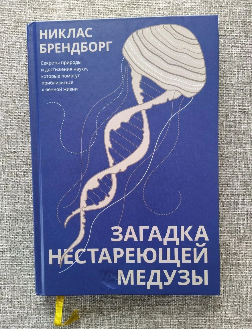 Загадка нестареющей медузы - изображение 1