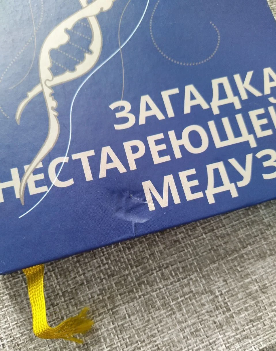 Загадка нестареющей медузы - миниатюра 3