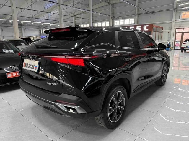Chery Oumengda - миниатюра 5