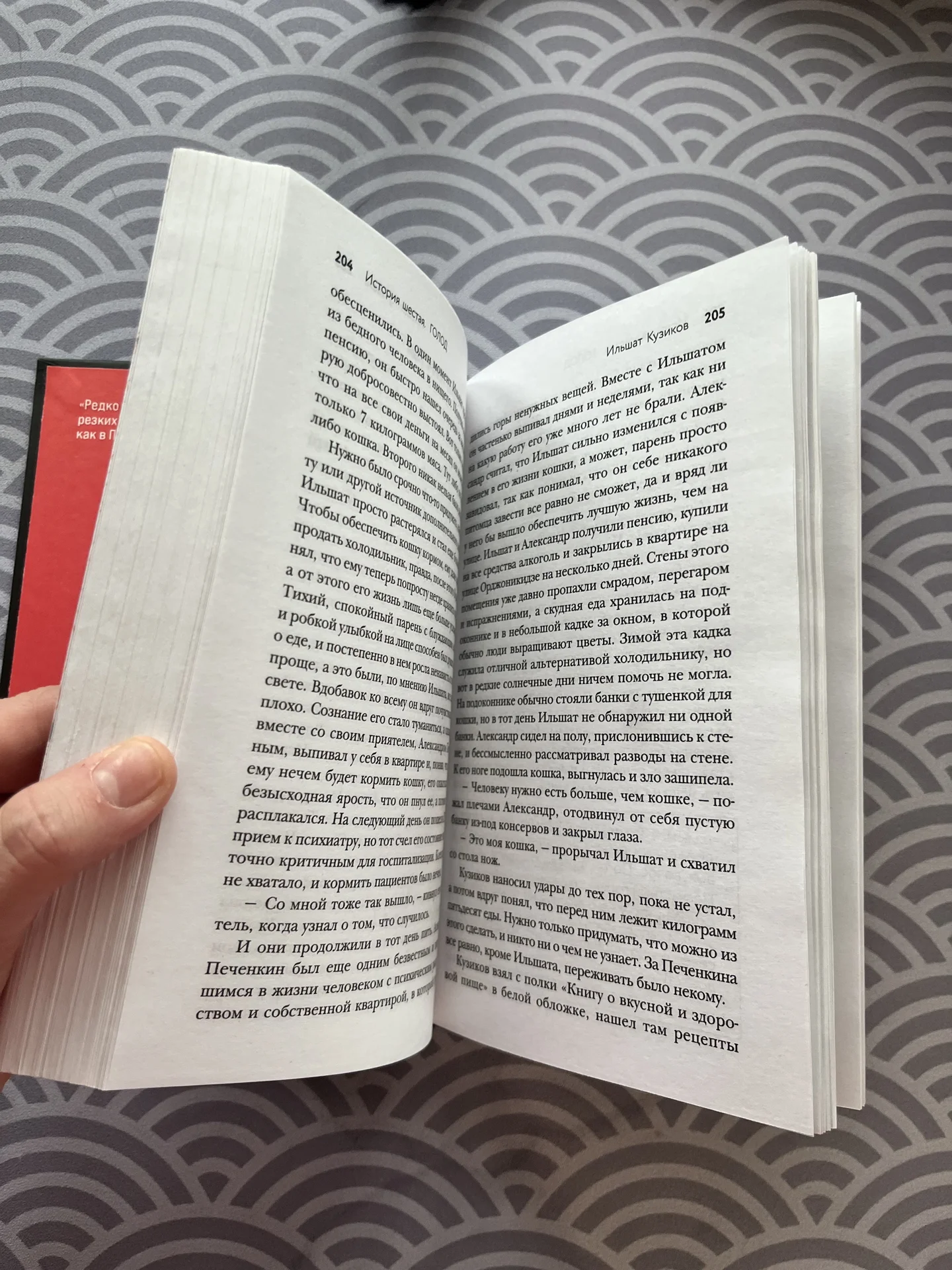 Книга Расчленинград. Маньяки над Невой Бута Елизав - миниатюра 3