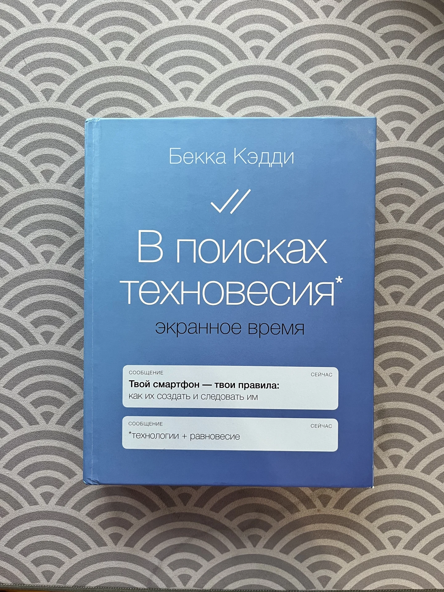 Книга В поисках техновесия. Бекка Кэдди - изображение 1
