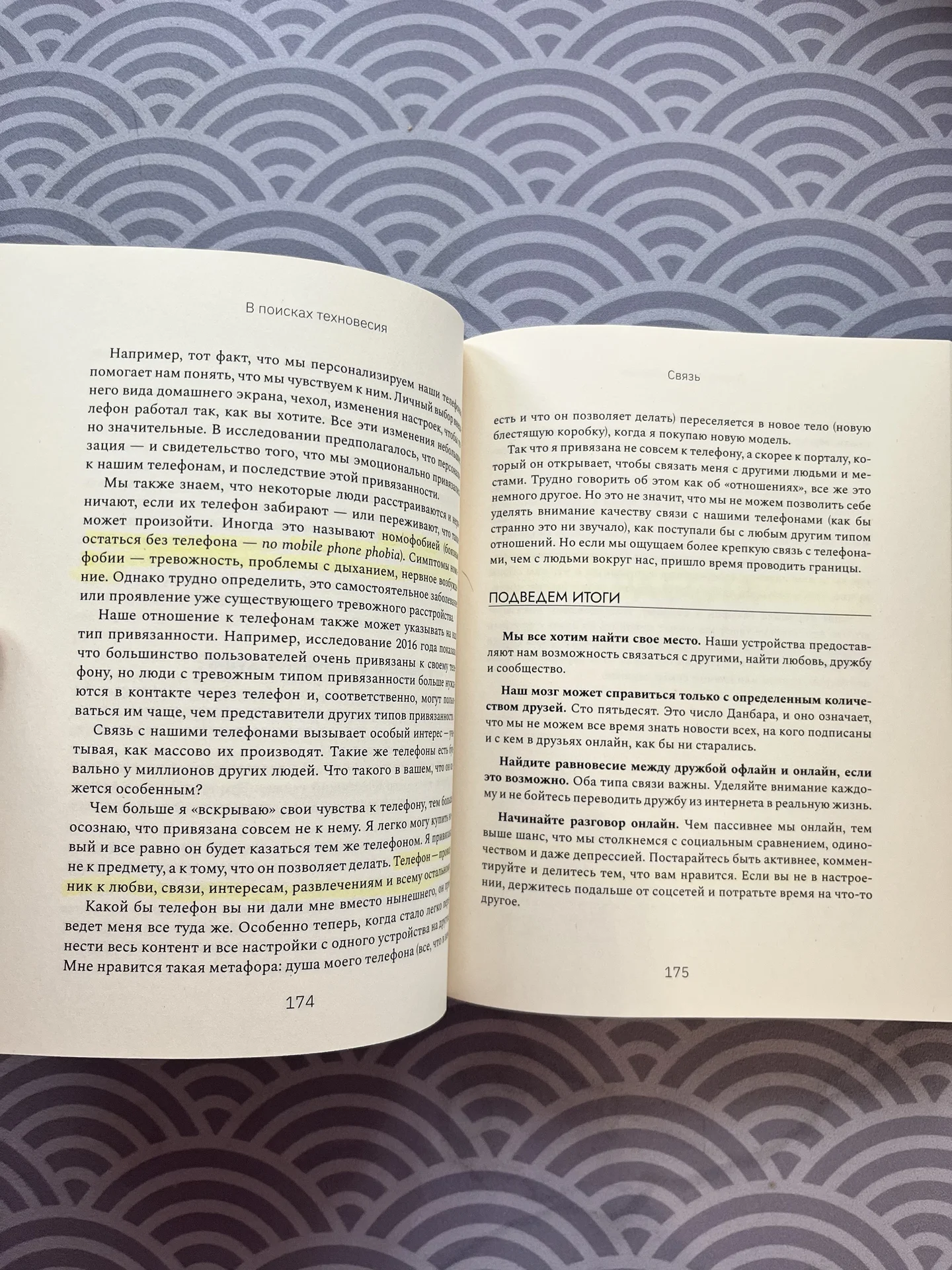 Книга В поисках техновесия. Бекка Кэдди - миниатюра 2