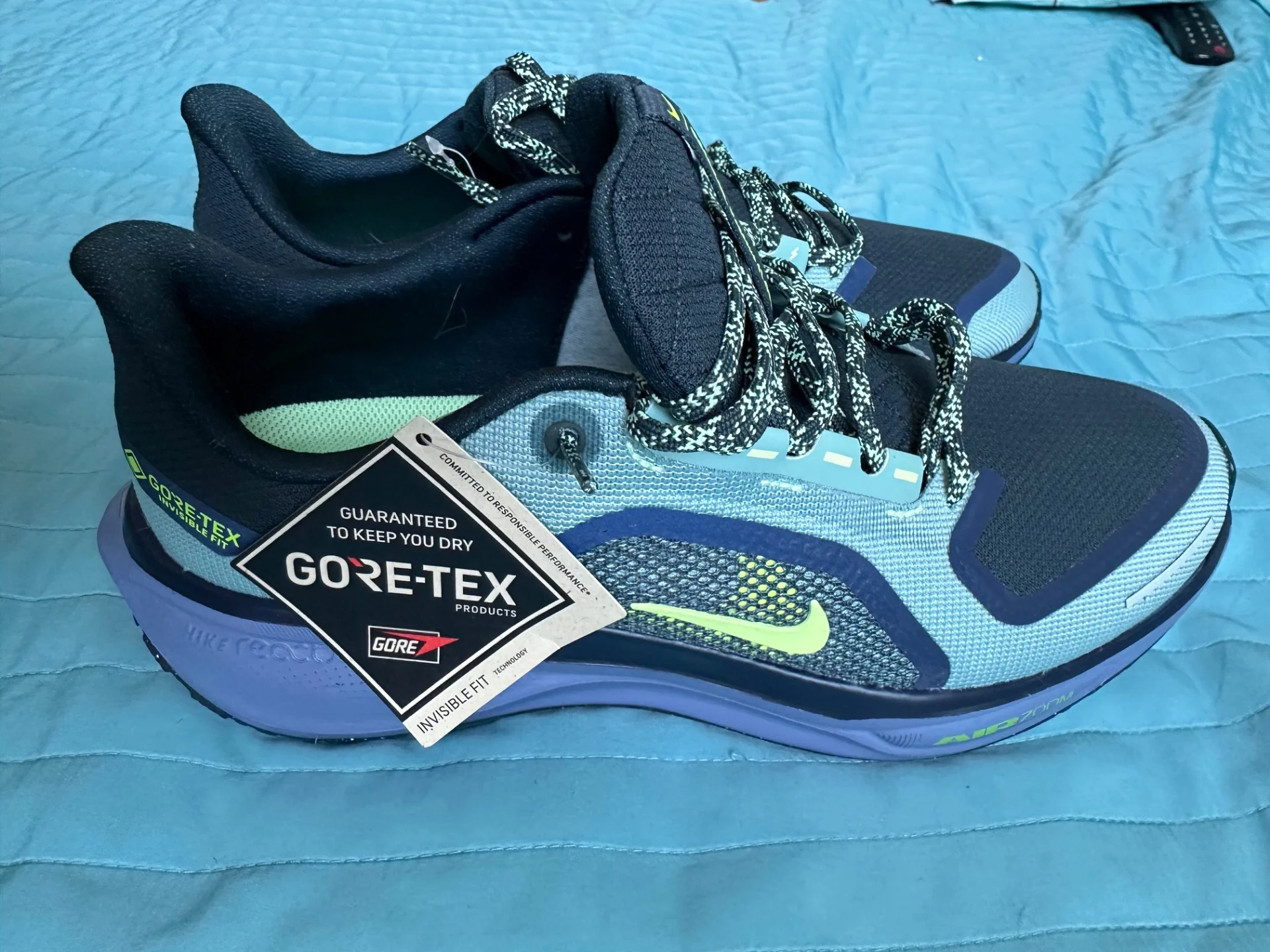 Кроссовки бег Nike Air Zoom Pegasus 41 GTX 44 ориг - миниатюра 2