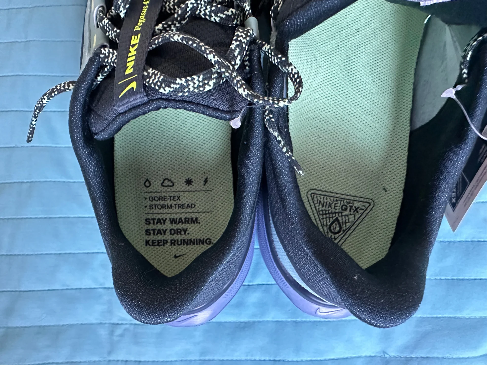 Кроссовки бег Nike Air Zoom Pegasus 41 GTX 44 ориг - миниатюра 3