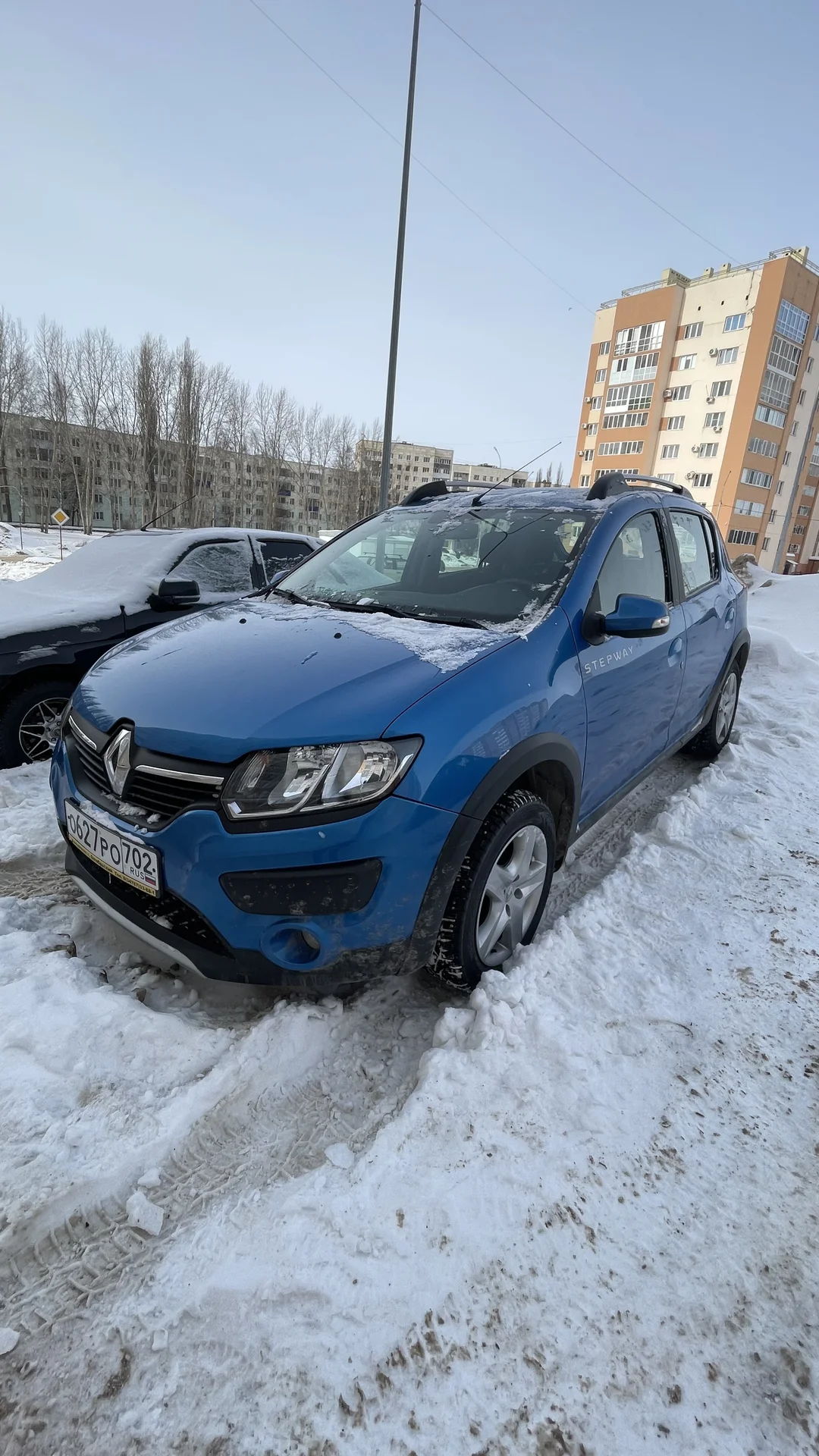 Reno Sandero Stepway - миниатюра 3